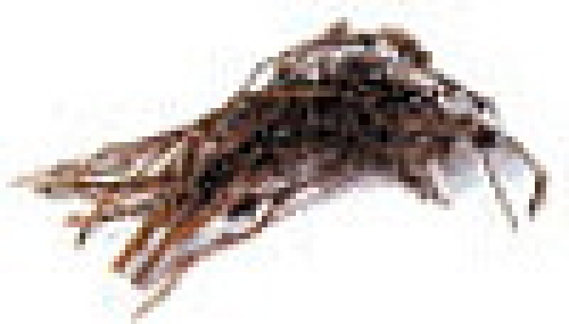 画像5: お香の原料の入浴剤(霍香湯・白檀湯) (5)