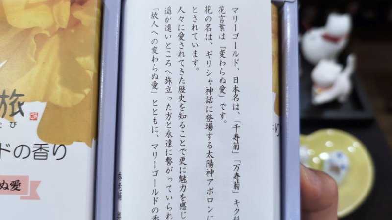 画像4: 花の旅 マリーゴールドの香り (4)