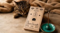 画像4: 猫と一緒に楽しむお香 NEKOU 猫香 (4)