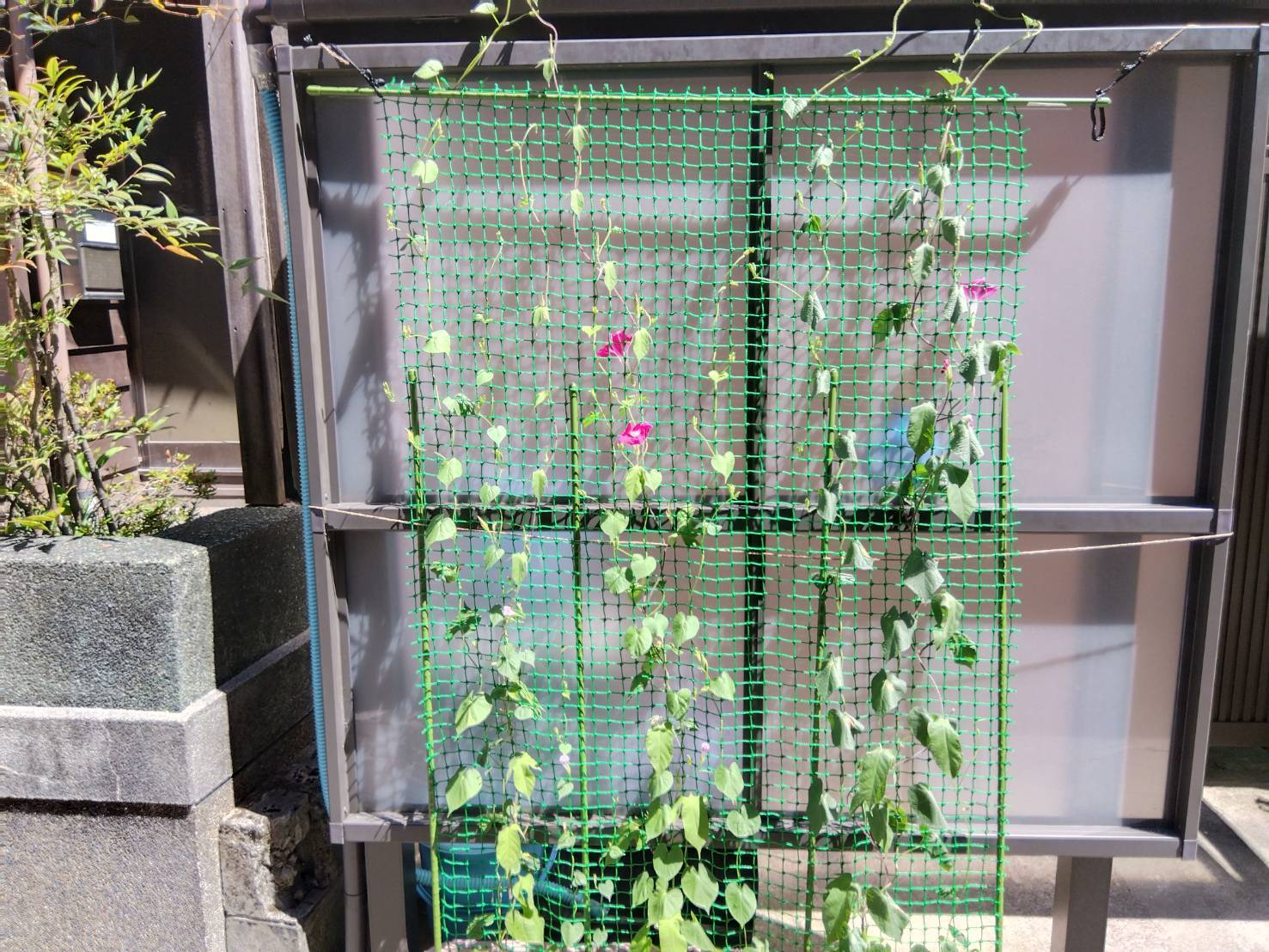 お香・専門店　金沢市｜金沢の観光地-武家屋敷跡近くのアロマ香房焚屋