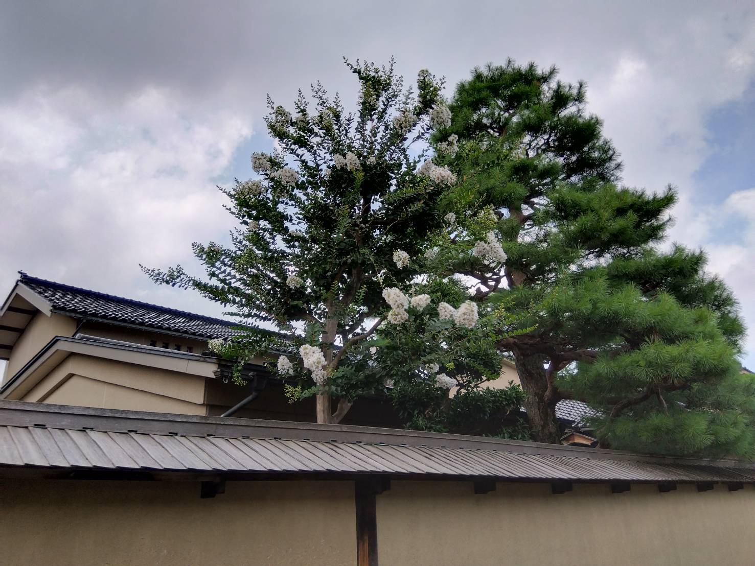 お香・専門店　金沢市｜金沢の観光地-武家屋敷跡近くのアロマ香房焚屋