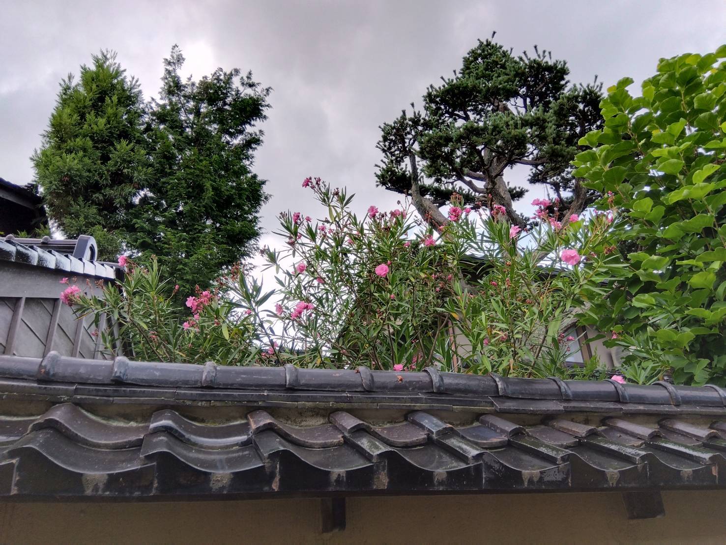 お香・専門店　金沢市｜金沢の観光地-武家屋敷跡近くのアロマ香房焚屋