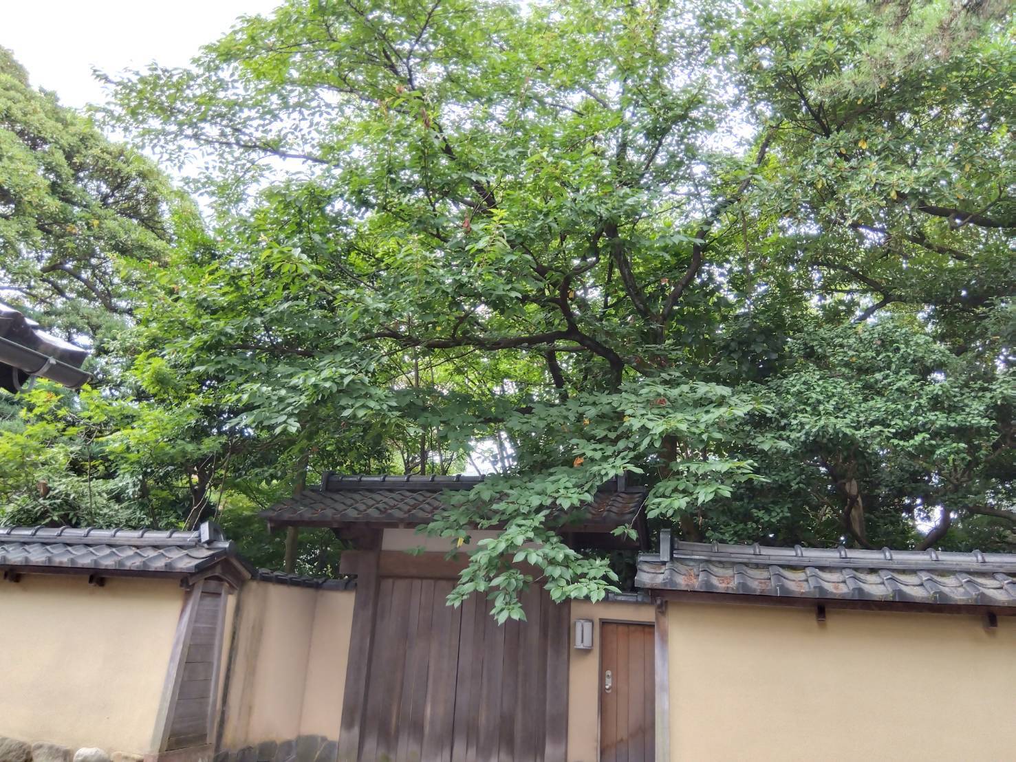 お香・専門店　金沢市｜金沢の観光地-武家屋敷跡近くのアロマ香房焚屋