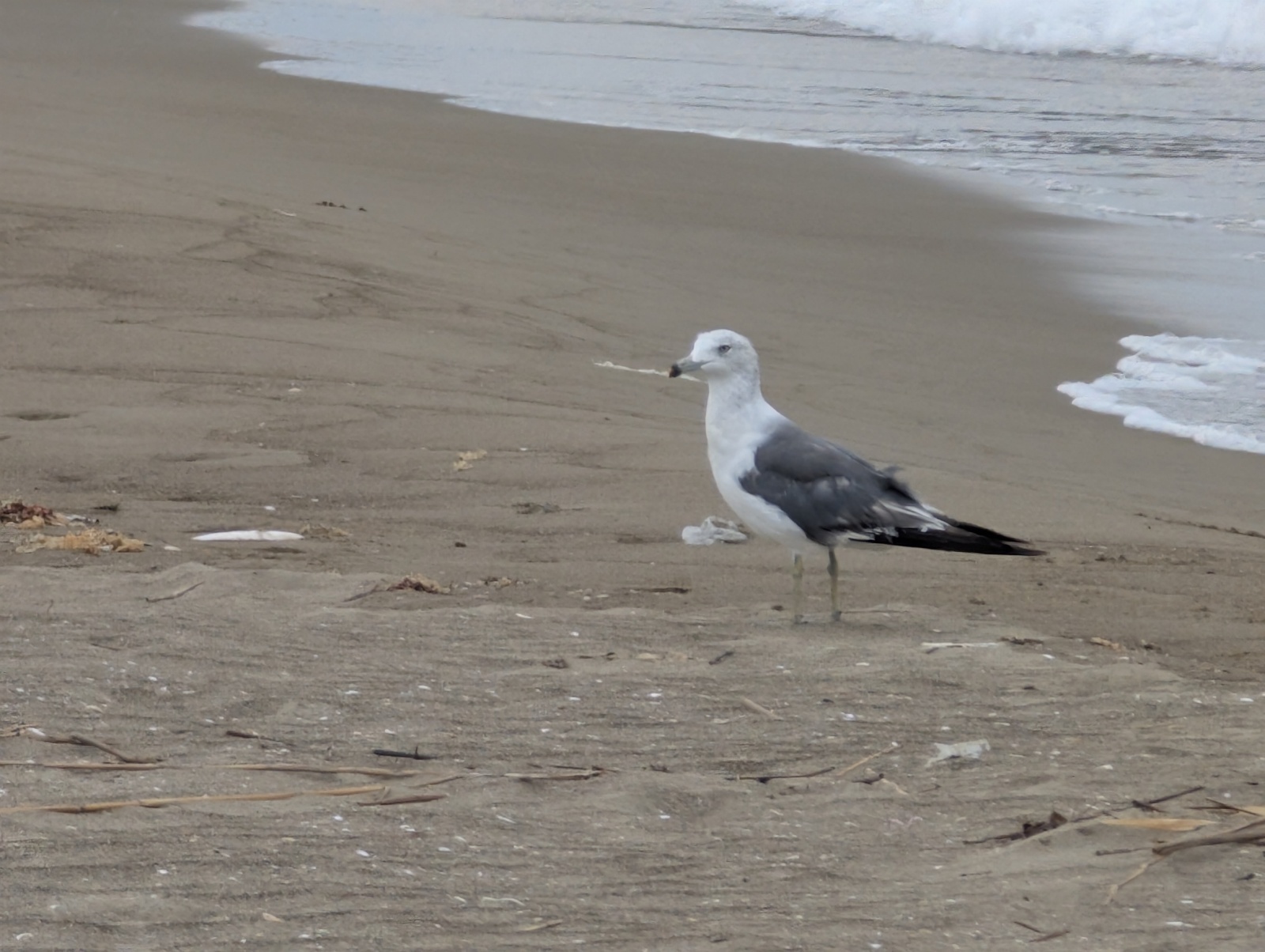 お香・専門店　金沢市｜金沢の観光地-武家屋敷跡近くのアロマ香房焚屋
