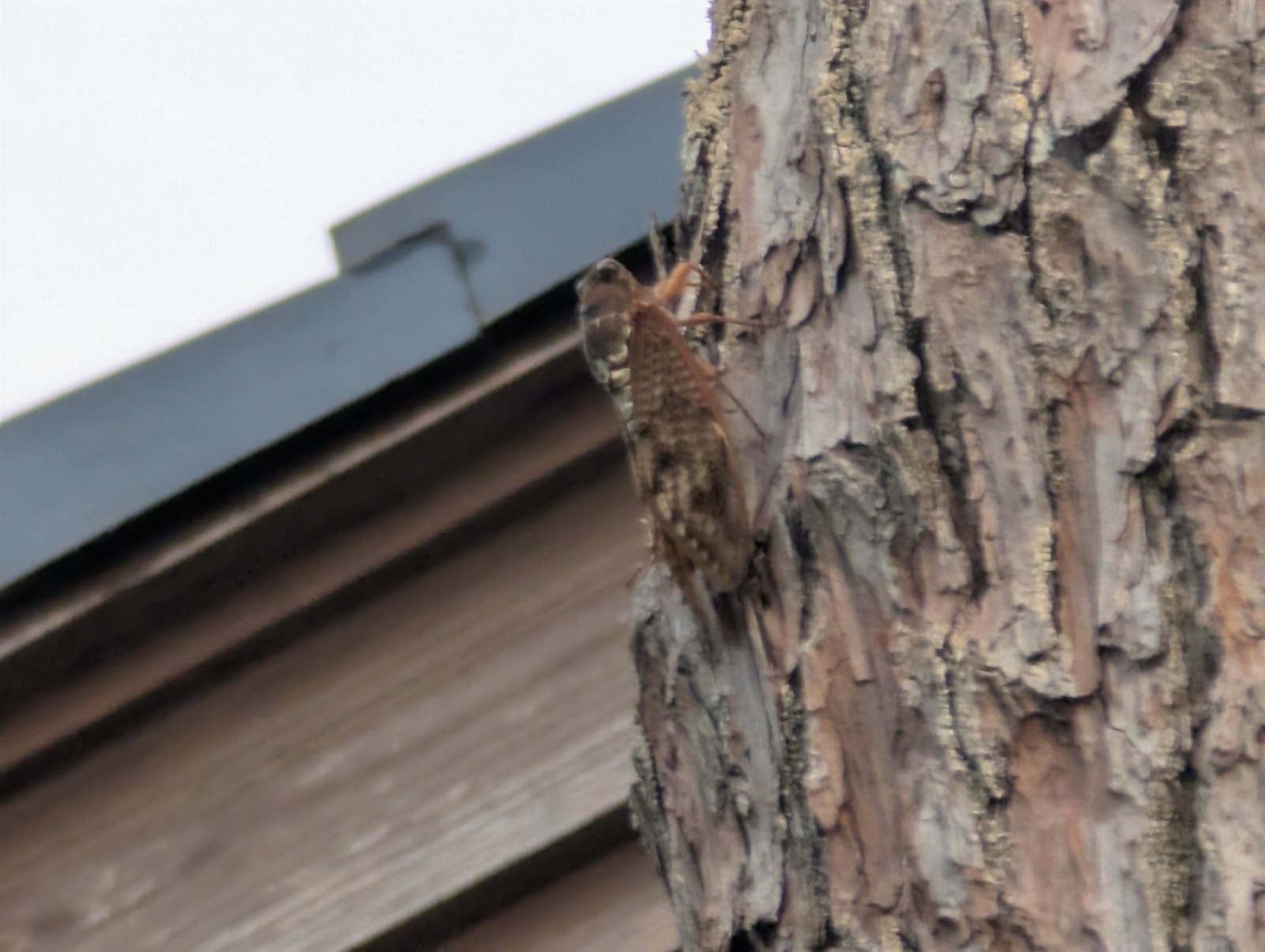 お香・専門店　金沢市｜金沢の観光地-武家屋敷跡近くのアロマ香房焚屋