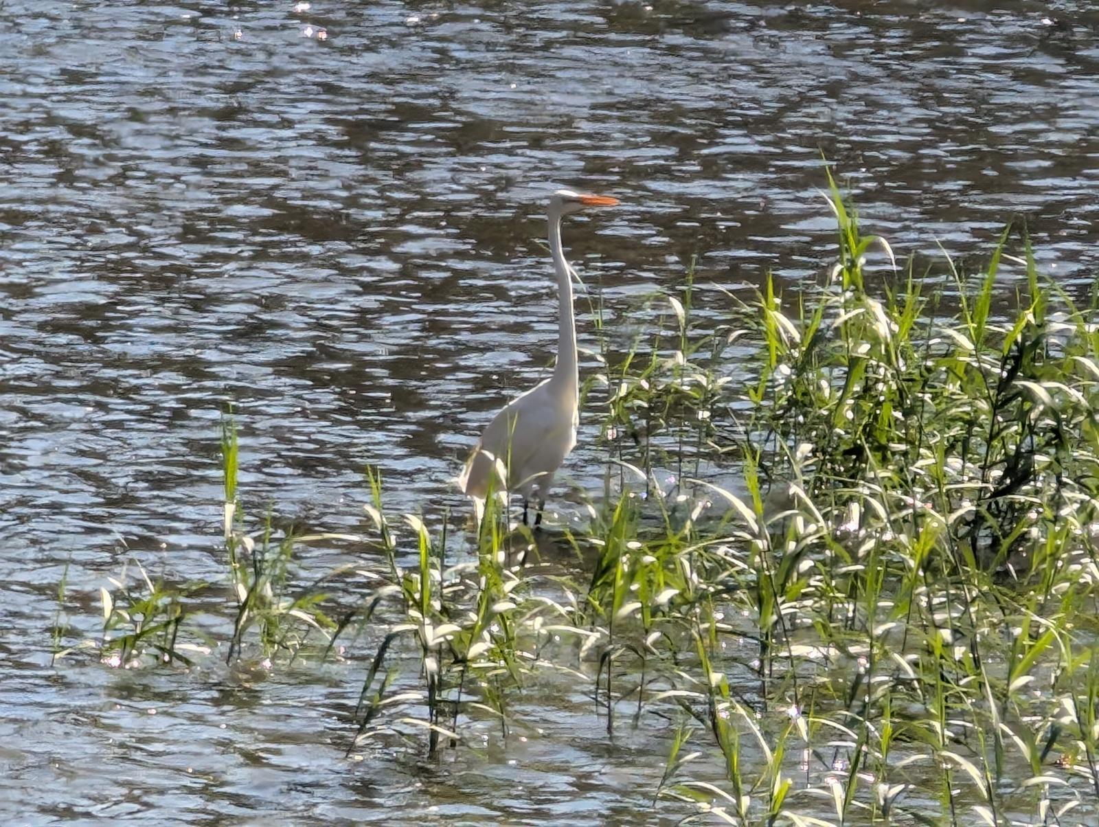 お香・専門店　金沢市｜金沢の観光地-武家屋敷跡近くのアロマ香房焚屋