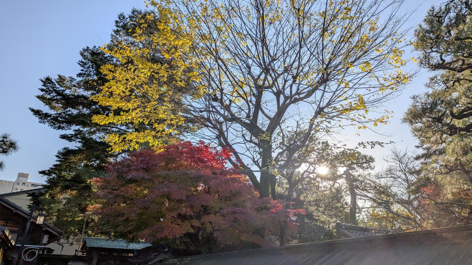 金沢のお香とアロマの香り専門店(石川県金沢市)・金沢観光地・金沢の観光スポット武家屋敷跡近く・人気でおすすめのお土産処-お香専門店のアロマ香房焚屋