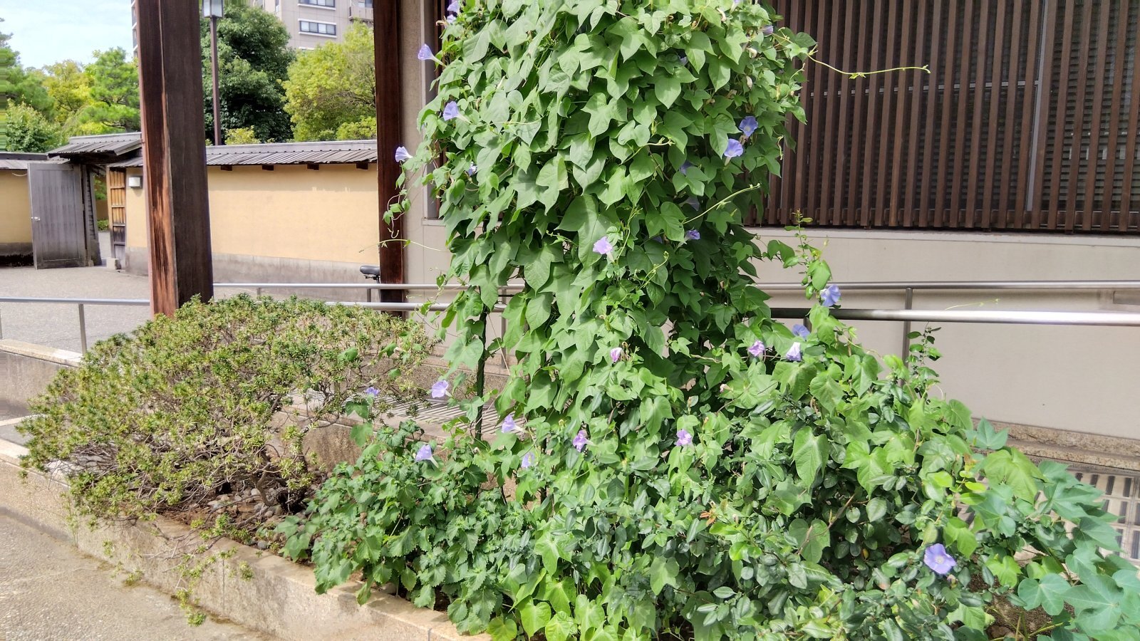 金沢のお香とアロマの香り専門店(石川県金沢市)・金沢観光地・金沢の観光スポット武家屋敷跡近く・人気でおすすめのお土産処-お香専門店のアロマ香房焚屋