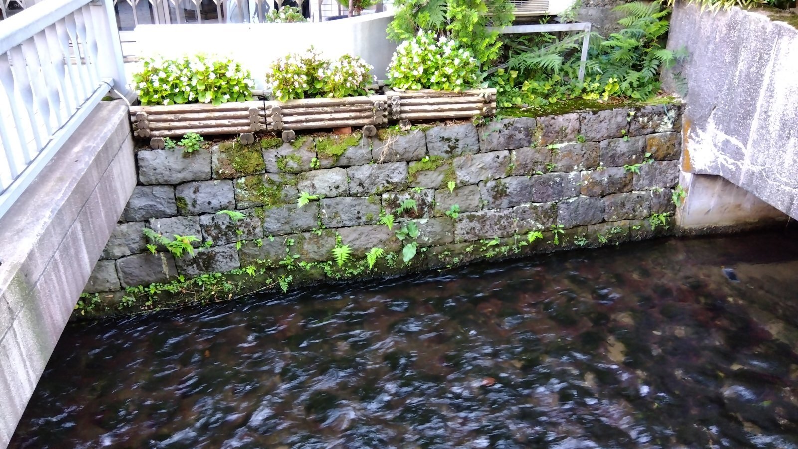 金沢のお香とアロマの香り専門店(石川県金沢市)・金沢観光地・金沢の観光スポット武家屋敷跡近く・人気でおすすめのお土産処-お香専門店のアロマ香房焚屋