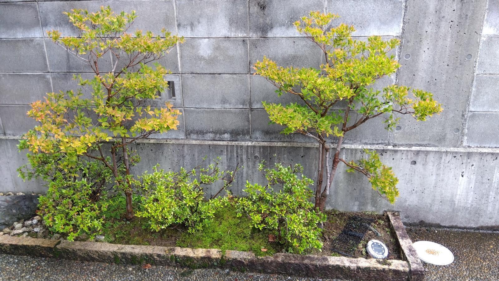 金沢のお香とアロマの香り専門店(石川県金沢市)・金沢観光地・金沢の観光スポット武家屋敷跡近く・人気でおすすめのお土産処-お香専門店のアロマ香房焚屋