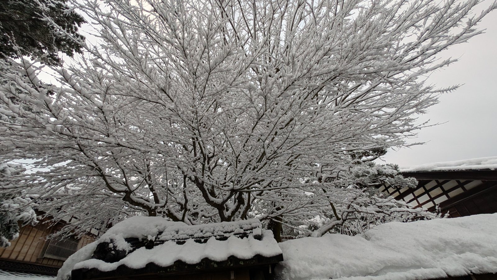 金沢のお香とアロマの香り専門店(石川県金沢市)・金沢観光地・金沢の観光スポット武家屋敷跡近く・人気でおすすめのお土産処-お香専門店のアロマ香房焚屋