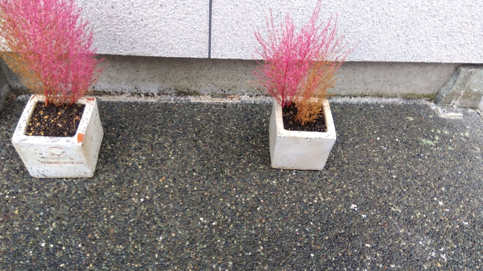 金沢のお香とアロマの香り専門店(石川県金沢市)・金沢観光地・金沢の観光スポット武家屋敷跡近く・人気でおすすめのお土産処-お香専門店のアロマ香房焚屋