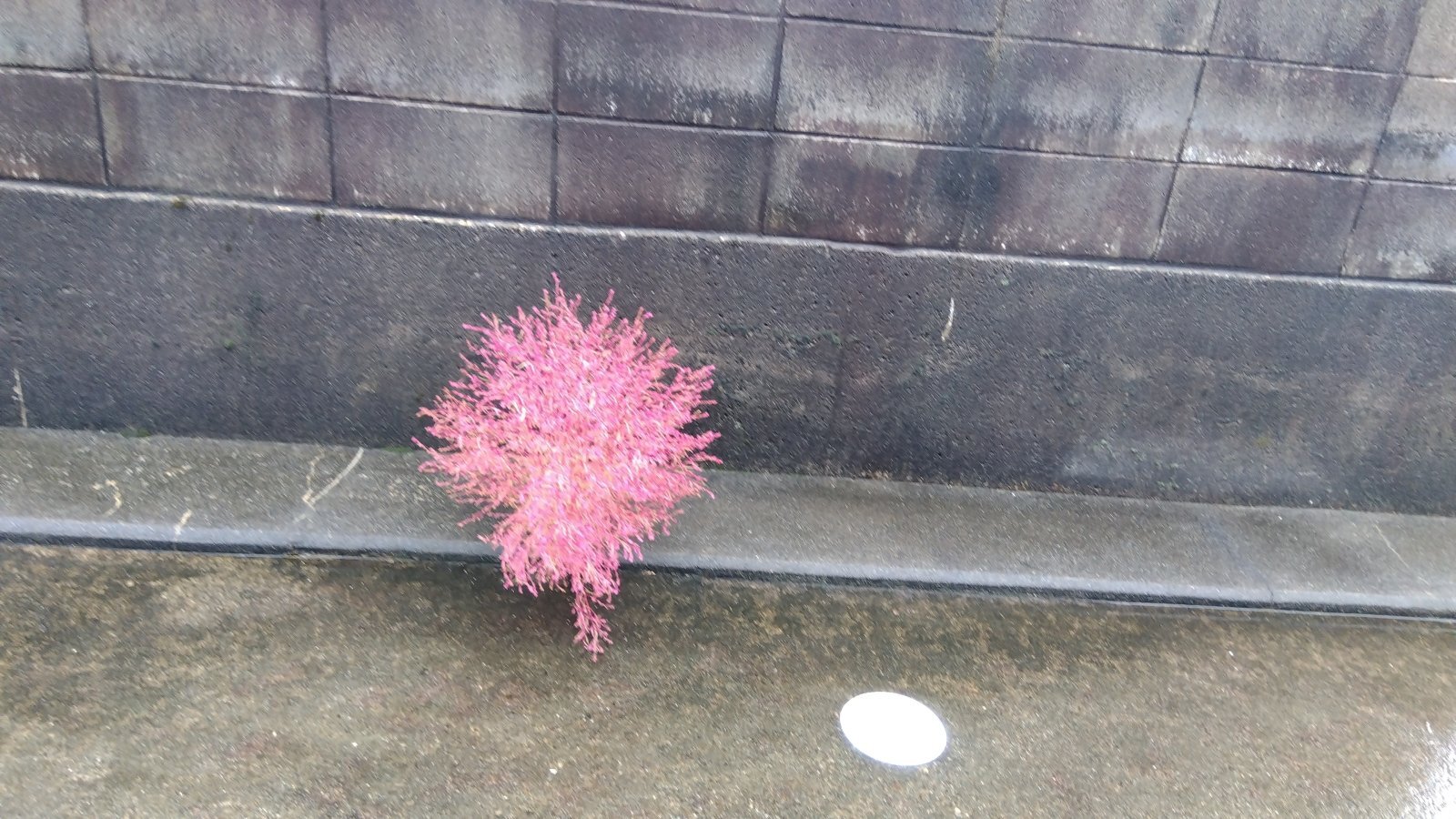 金沢のお香とアロマの香り専門店(石川県金沢市)・金沢観光地・金沢の観光スポット武家屋敷跡近く・人気でおすすめのお土産処-お香専門店のアロマ香房焚屋