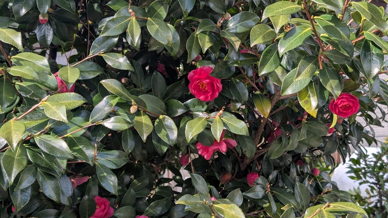 金沢のお香とアロマの香り専門店(石川県金沢市)・金沢観光地・金沢の観光スポット武家屋敷跡近く・人気でおすすめのお土産処-お香専門店のアロマ香房焚屋