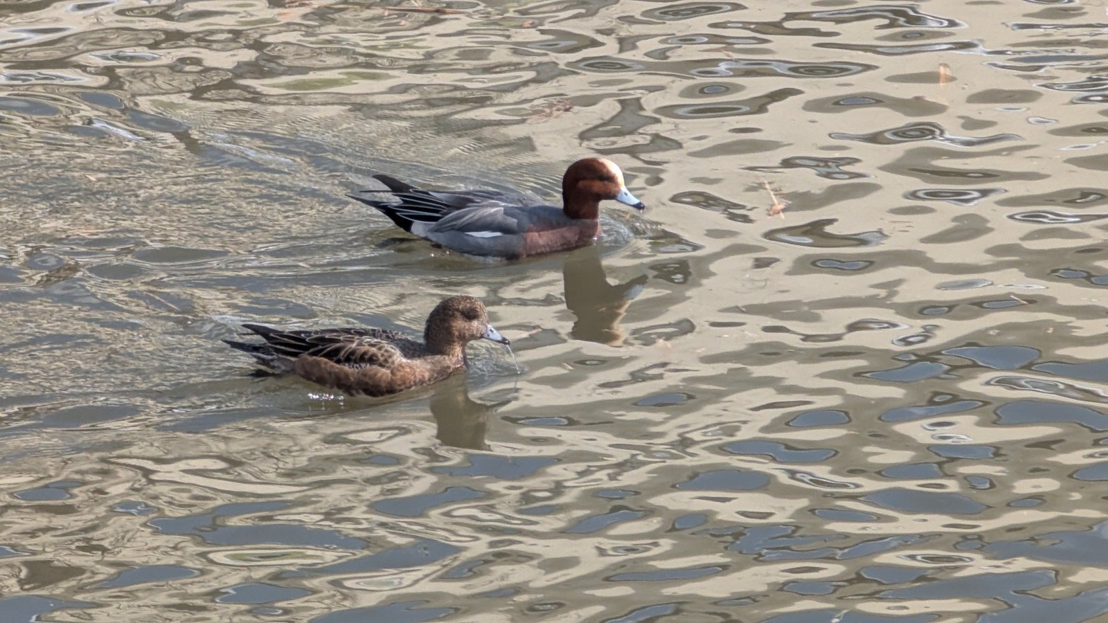 金沢のお香とアロマの香り専門店(石川県金沢市)・金沢観光地・金沢の観光スポット武家屋敷跡近く・人気でおすすめのお土産処-お香専門店のアロマ香房焚屋