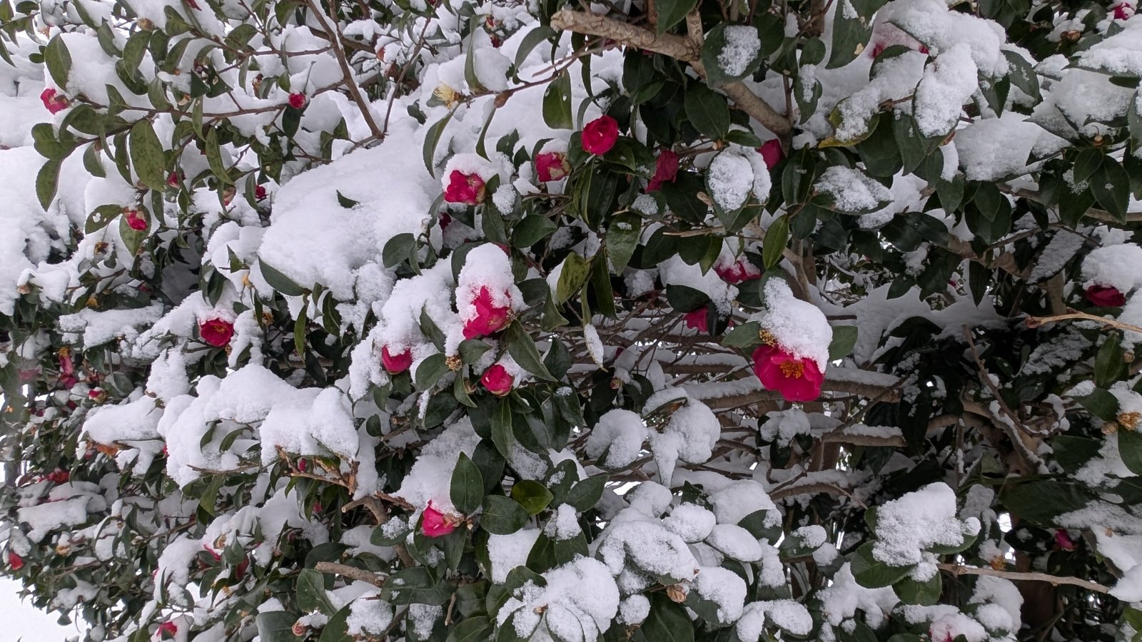 金沢のお香とアロマの香り専門店(石川県金沢市)・金沢観光地・金沢の観光スポット武家屋敷跡近く・人気でおすすめのお土産処-お香専門店のアロマ香房焚屋