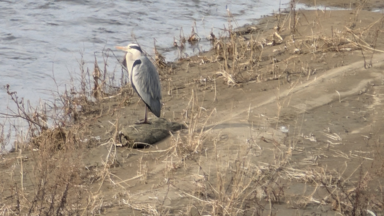 金沢のお香とアロマの香り専門店(石川県金沢市)・金沢観光地・金沢の観光スポット武家屋敷跡近く・人気でおすすめのお土産処-お香専門店のアロマ香房焚屋