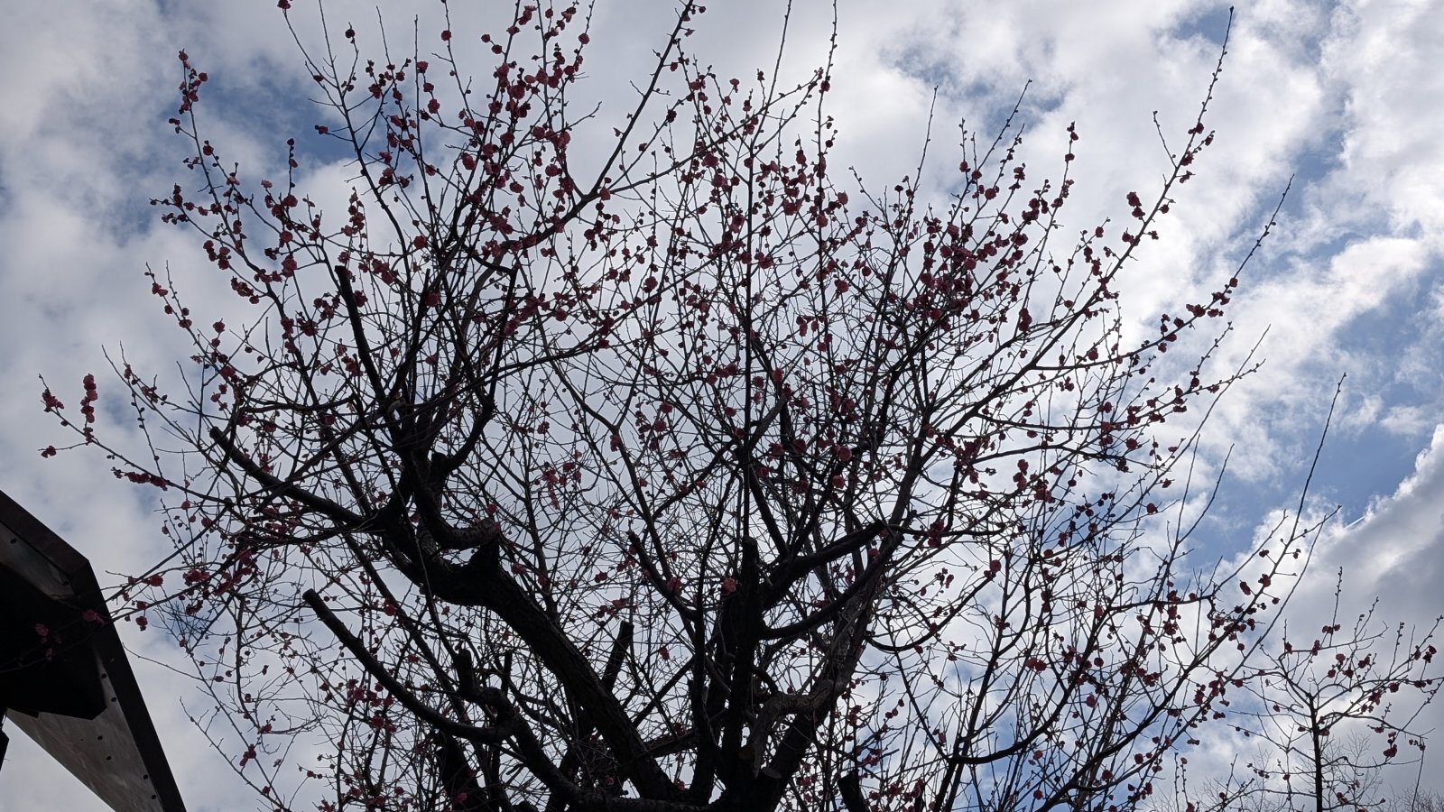 金沢のお香とアロマの香り専門店(石川県金沢市)・金沢観光地・金沢の観光スポット武家屋敷跡近く・人気でおすすめのお土産処-お香専門店のアロマ香房焚屋