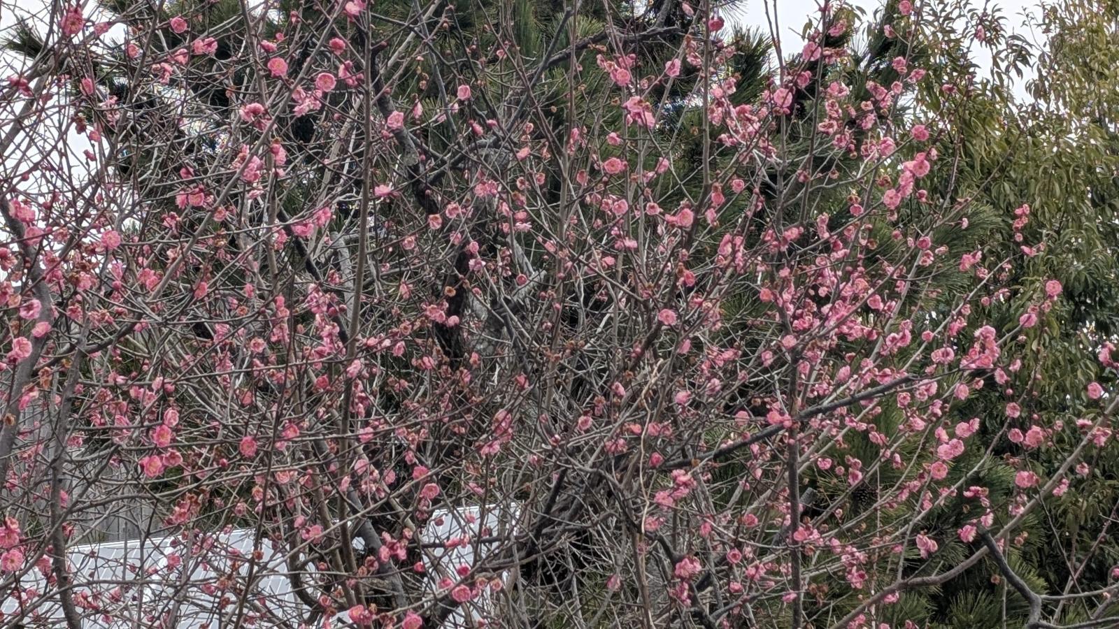 金沢のお香とアロマの香り専門店(石川県金沢市)・金沢観光地・金沢の観光スポット武家屋敷跡近く・人気でおすすめのお土産処-お香専門店のアロマ香房焚屋