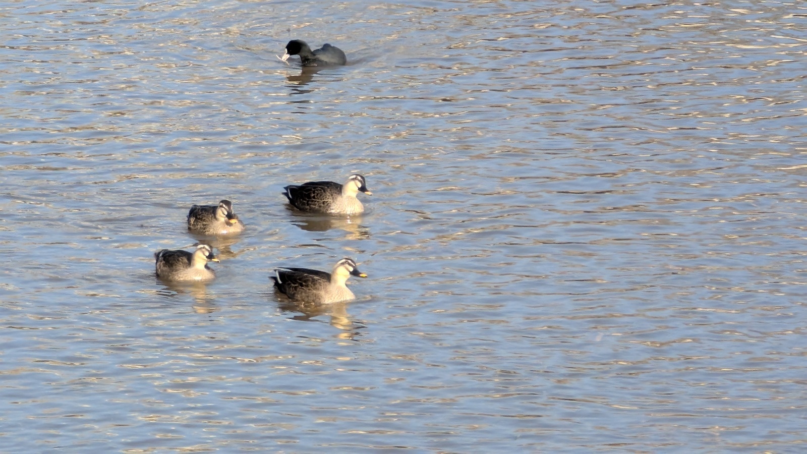 金沢のお香とアロマの香り専門店(石川県金沢市)・金沢観光地・金沢の観光スポット武家屋敷跡近く・人気でおすすめのお土産処-お香専門店のアロマ香房焚屋