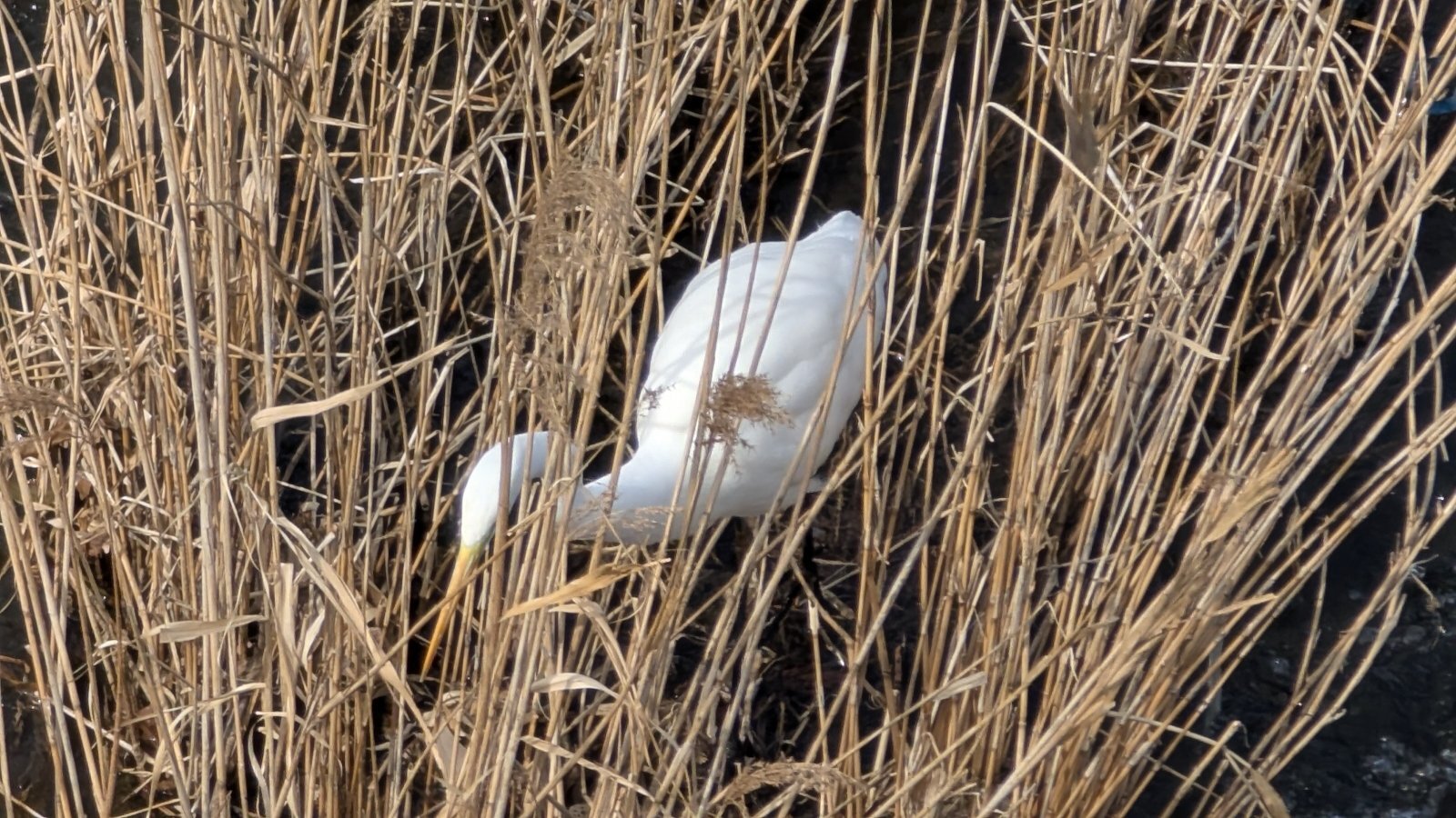 金沢のお香とアロマの香り専門店(石川県金沢市)・金沢観光地・金沢の観光スポット武家屋敷跡近く・人気でおすすめのお土産処-お香専門店のアロマ香房焚屋