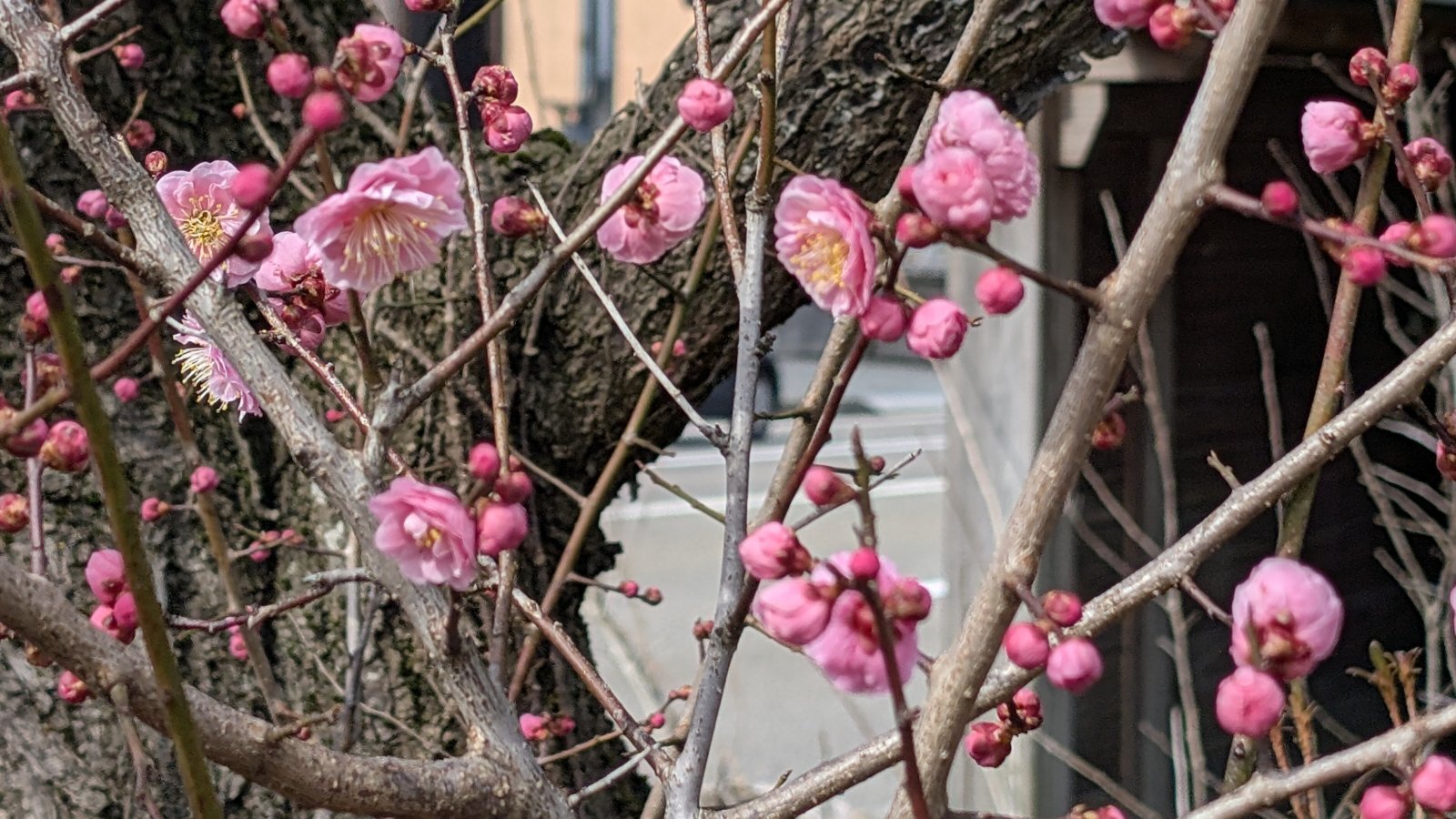 金沢のお香とアロマの香り専門店(石川県金沢市)・金沢観光地・金沢の観光スポット武家屋敷跡近く・人気でおすすめのお土産処-お香専門店のアロマ香房焚屋