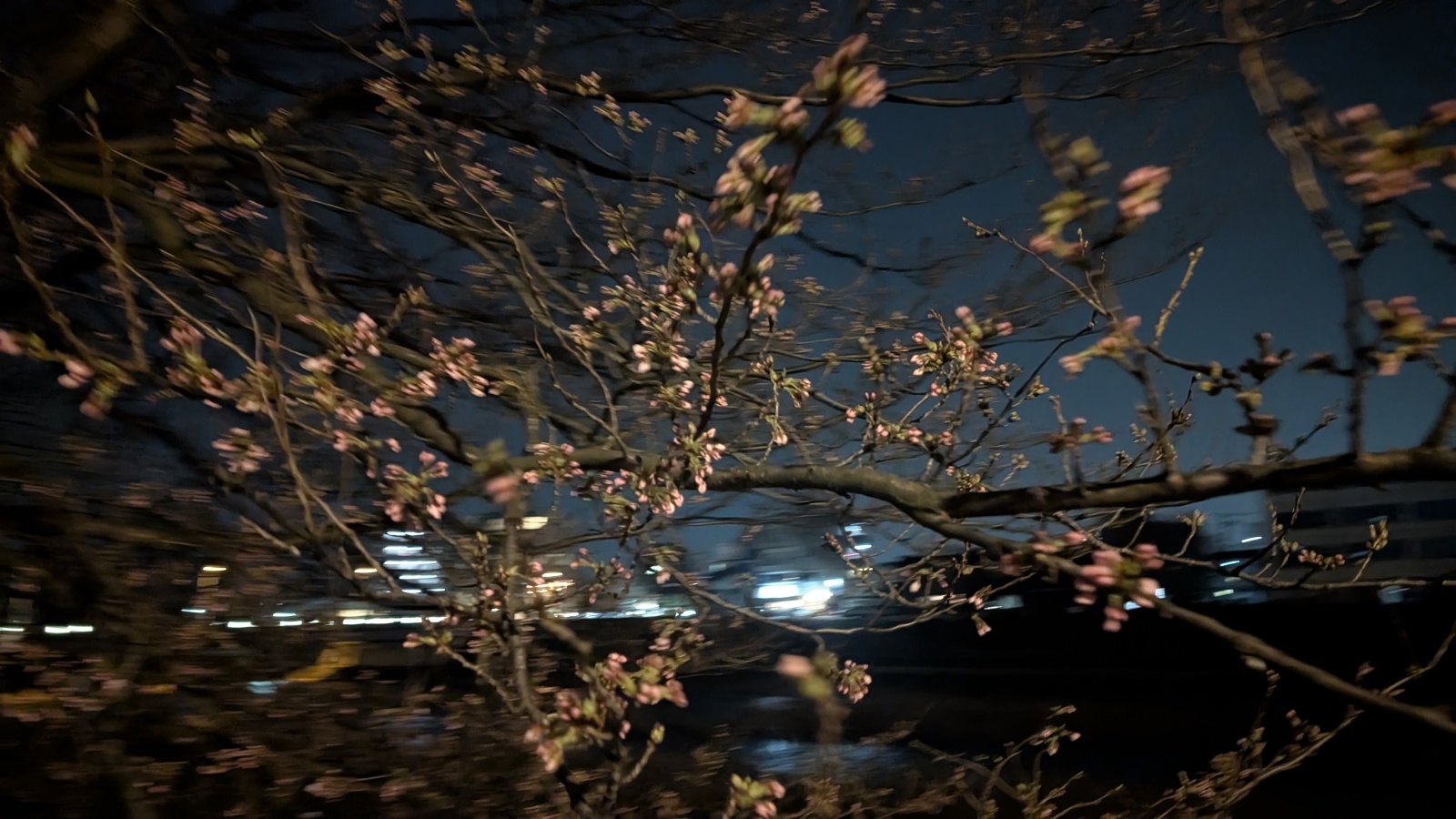 金沢のお香とアロマの香り専門店(石川県金沢市)・金沢観光地・金沢の観光スポット武家屋敷跡近く・人気でおすすめのお土産処-お香専門店のアロマ香房焚屋