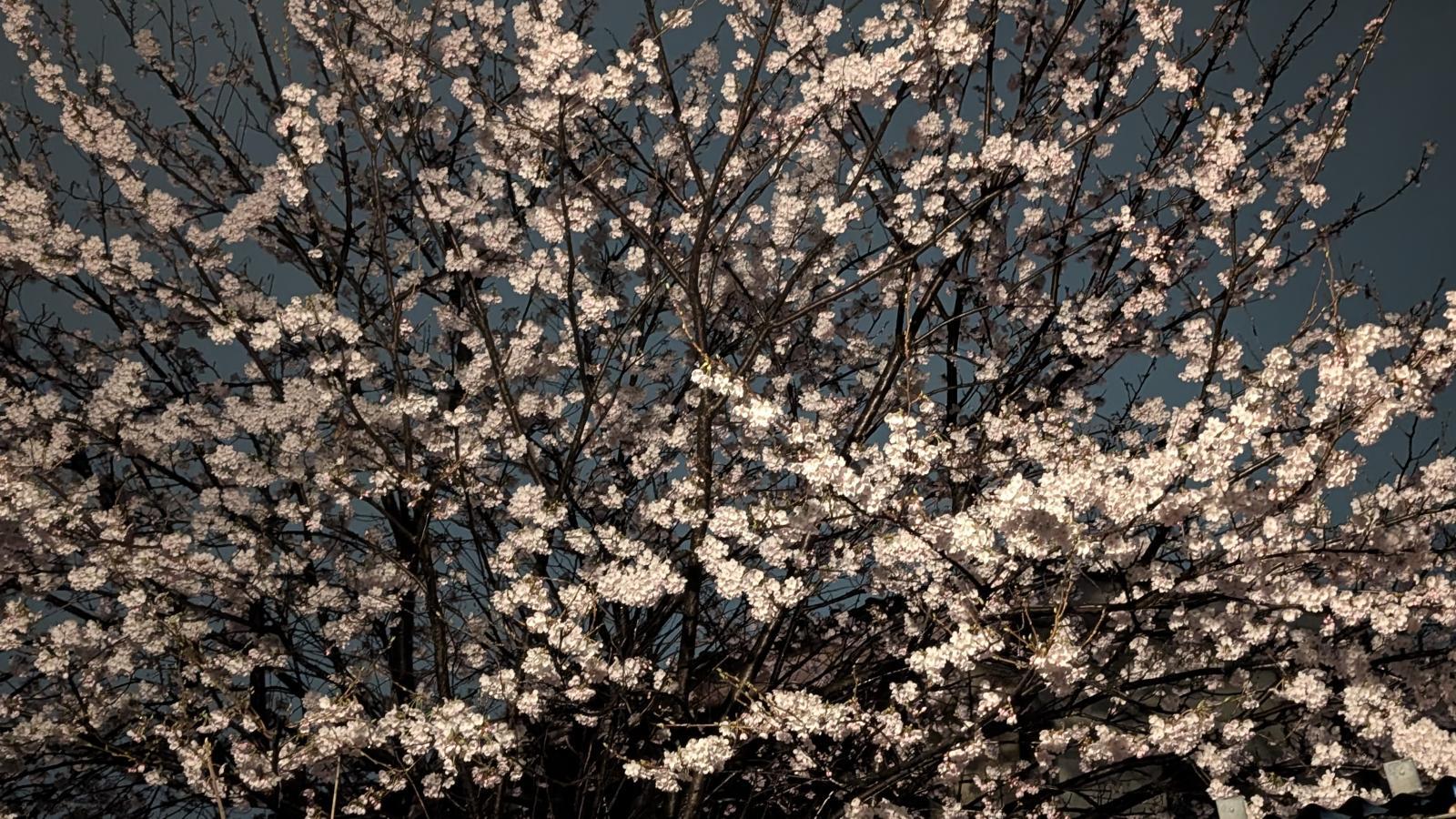 金沢のお香とアロマの香り専門店(石川県金沢市)・金沢観光地・金沢の観光スポット武家屋敷跡近く・人気でおすすめのお土産処-お香専門店のアロマ香房焚屋