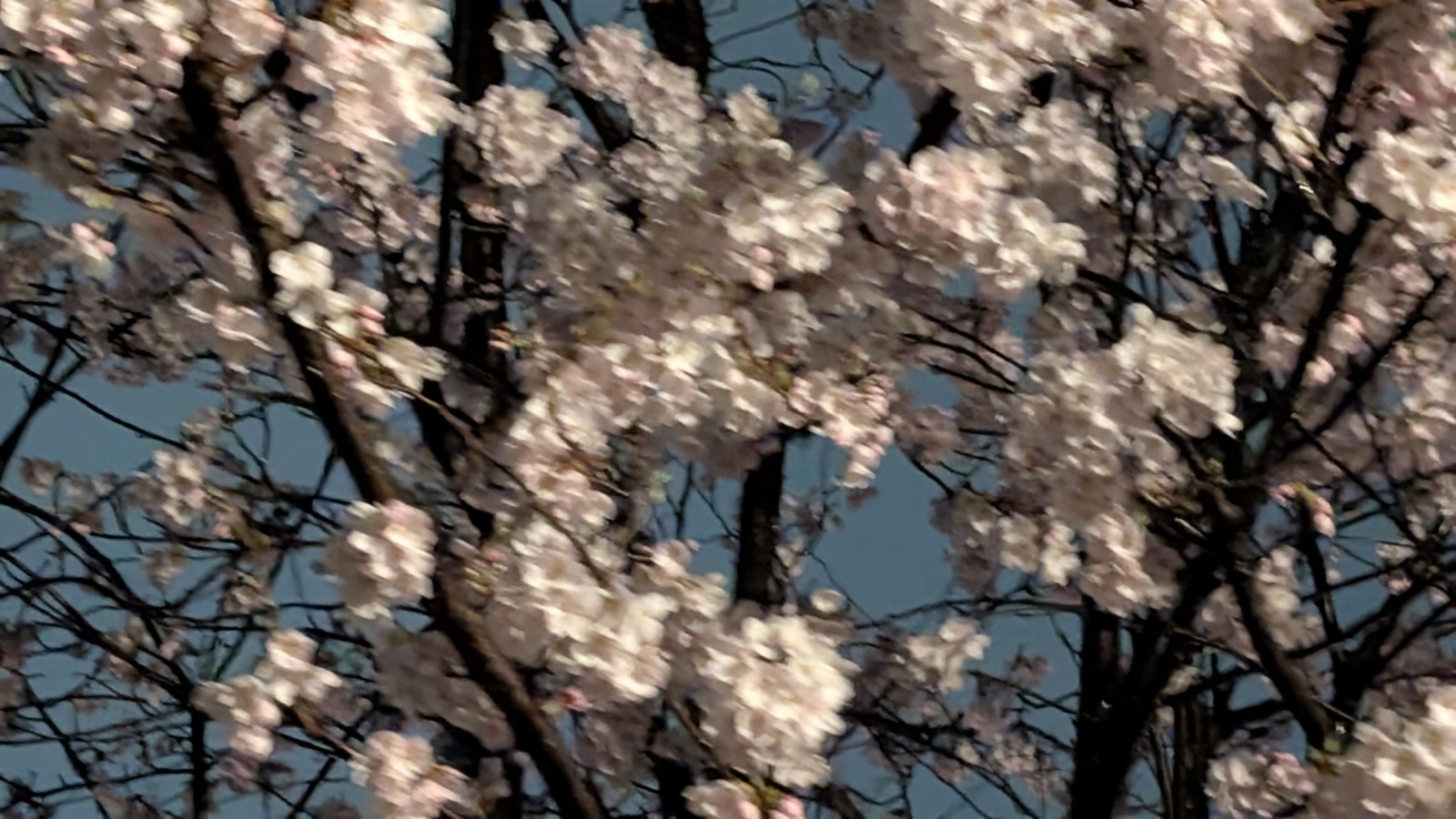 金沢のお香とアロマの香り専門店(石川県金沢市)・金沢観光地・金沢の観光スポット武家屋敷跡近く・人気でおすすめのお土産処-お香専門店のアロマ香房焚屋