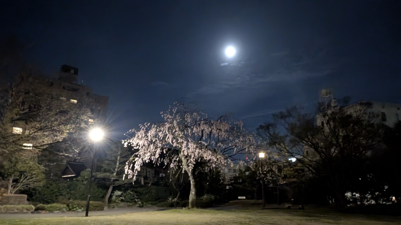金沢のお香とアロマの香り専門店(石川県金沢市)・金沢観光地・金沢の観光スポット武家屋敷跡近く・人気でおすすめのお土産処-お香専門店のアロマ香房焚屋