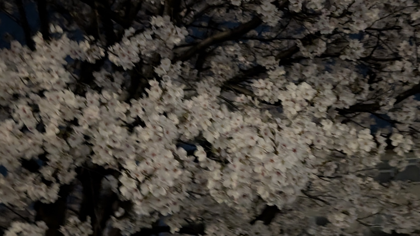 金沢のお香とアロマの香り専門店(石川県金沢市)・金沢観光地・金沢の観光スポット武家屋敷跡近く・人気でおすすめのお土産処-お香専門店のアロマ香房焚屋