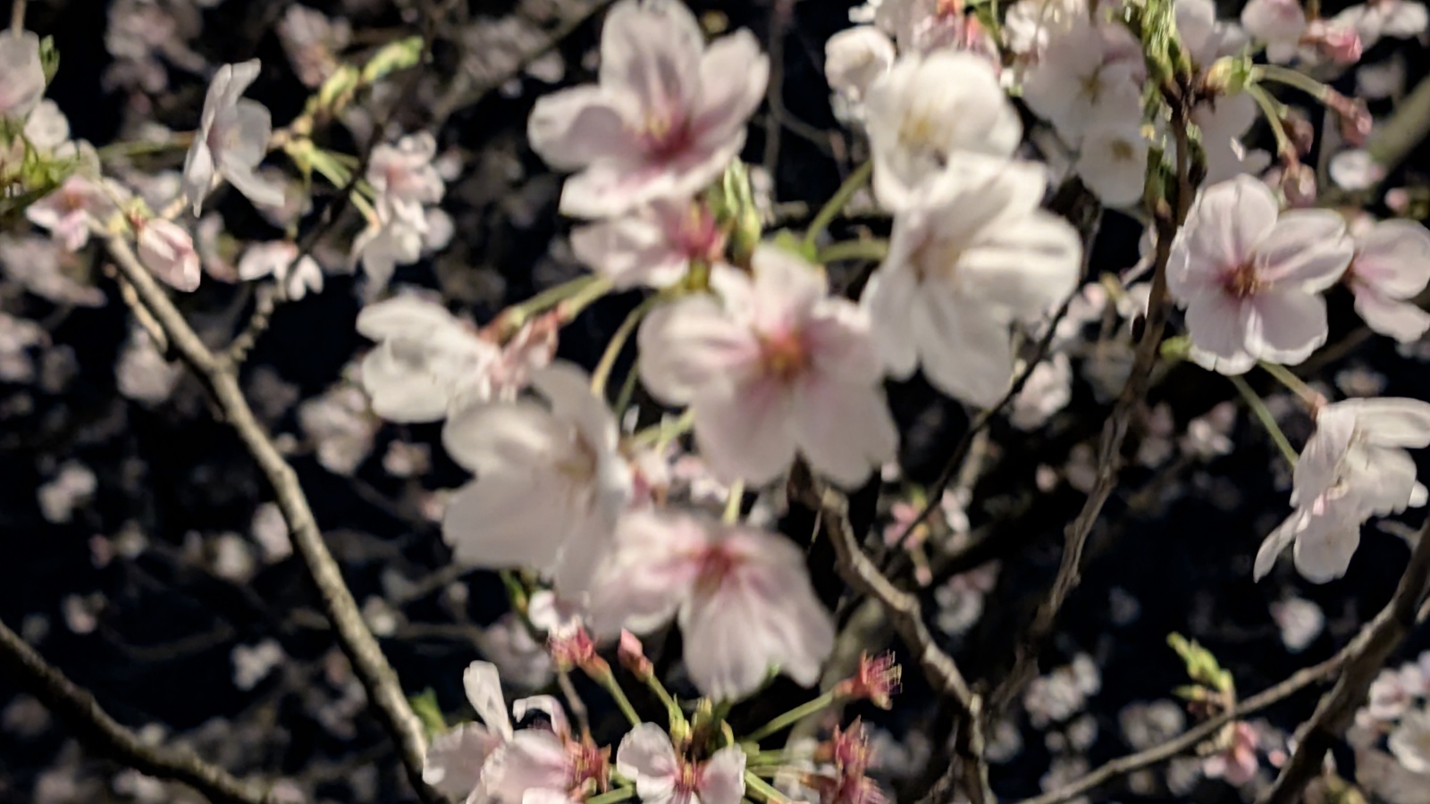 金沢のお香とアロマの香り専門店(石川県金沢市)・金沢観光地・金沢の観光スポット武家屋敷跡近く・人気でおすすめのお土産処-お香専門店のアロマ香房焚屋