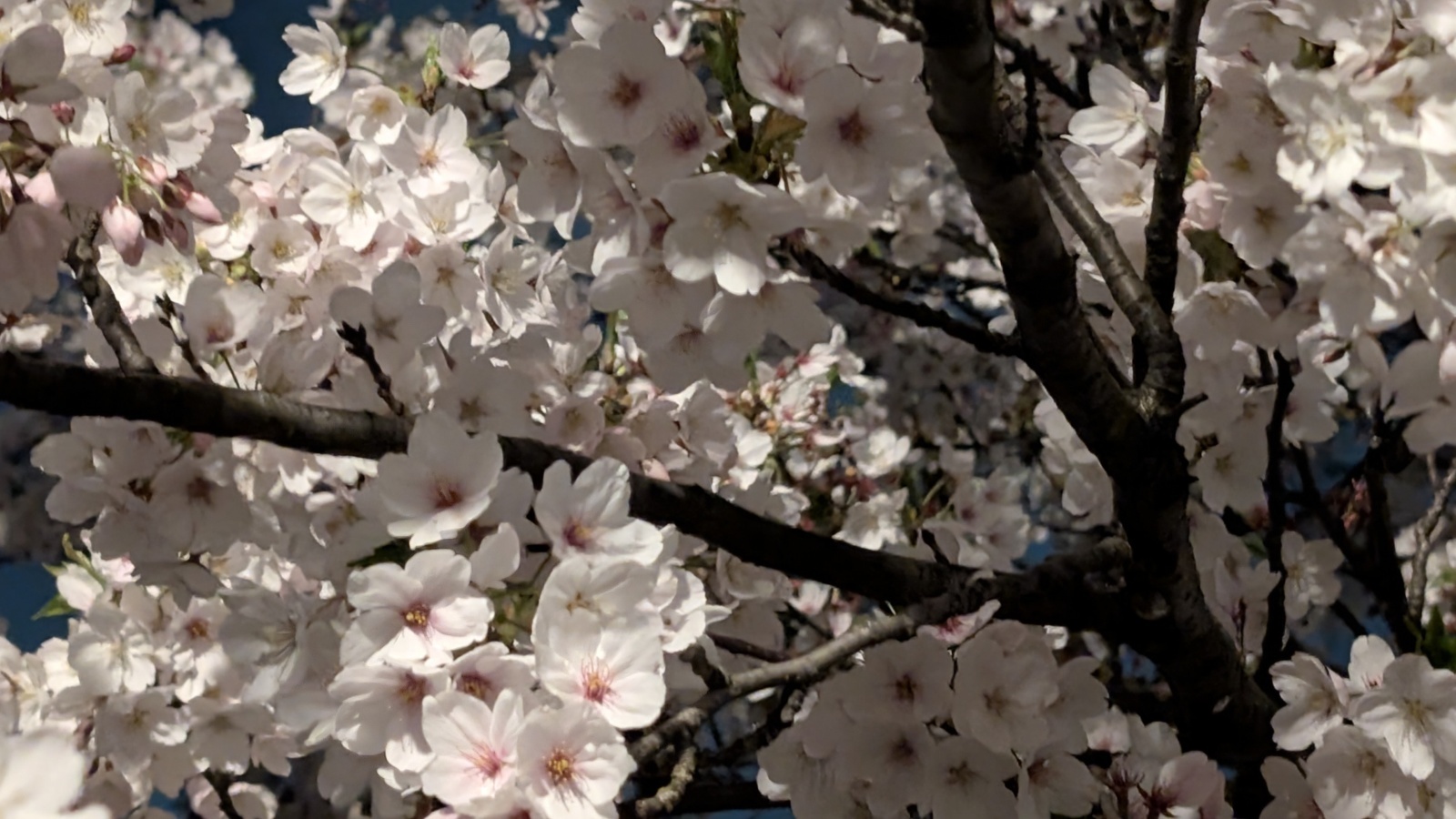 金沢のお香とアロマの香り専門店(石川県金沢市)・金沢観光地・金沢の観光スポット武家屋敷跡近く・人気でおすすめのお土産処-お香専門店のアロマ香房焚屋