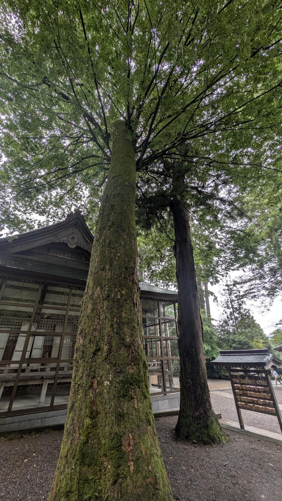 金沢のお香とアロマの香り専門店(石川県金沢市)・金沢観光地・金沢の観光スポット武家屋敷跡近く・人気でおすすめのお土産処-お香専門店のアロマ香房焚屋