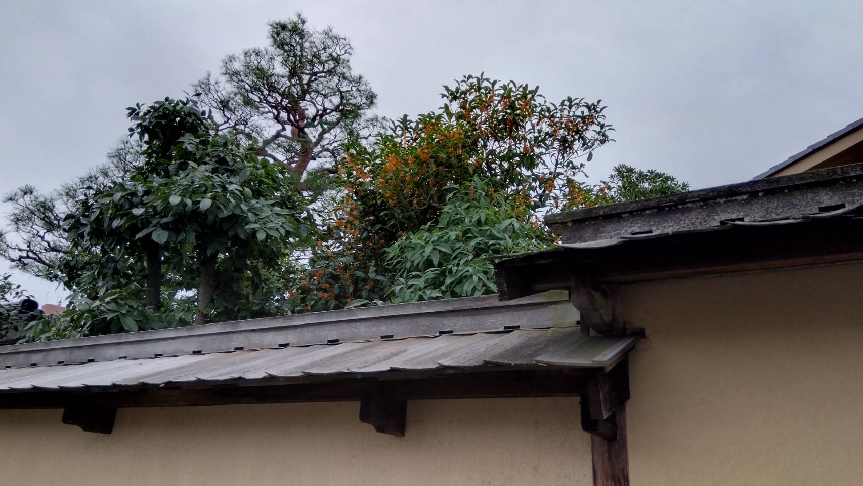 金沢のお香とアロマの香り専門店(石川県金沢市)・金沢観光地・金沢の観光スポット武家屋敷跡近く・人気でおすすめのお土産処-お香専門店のアロマ香房焚屋