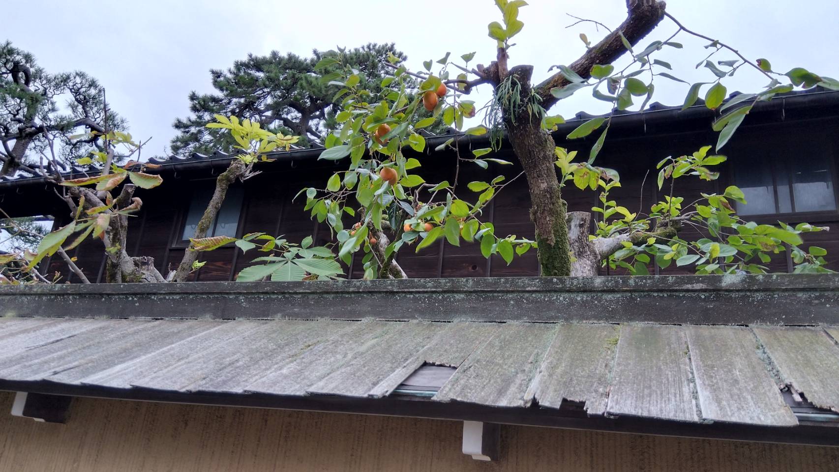 金沢のお香とアロマの香り専門店(石川県金沢市)・金沢観光地・金沢の観光スポット武家屋敷跡近く・人気でおすすめのお土産処-お香専門店のアロマ香房焚屋