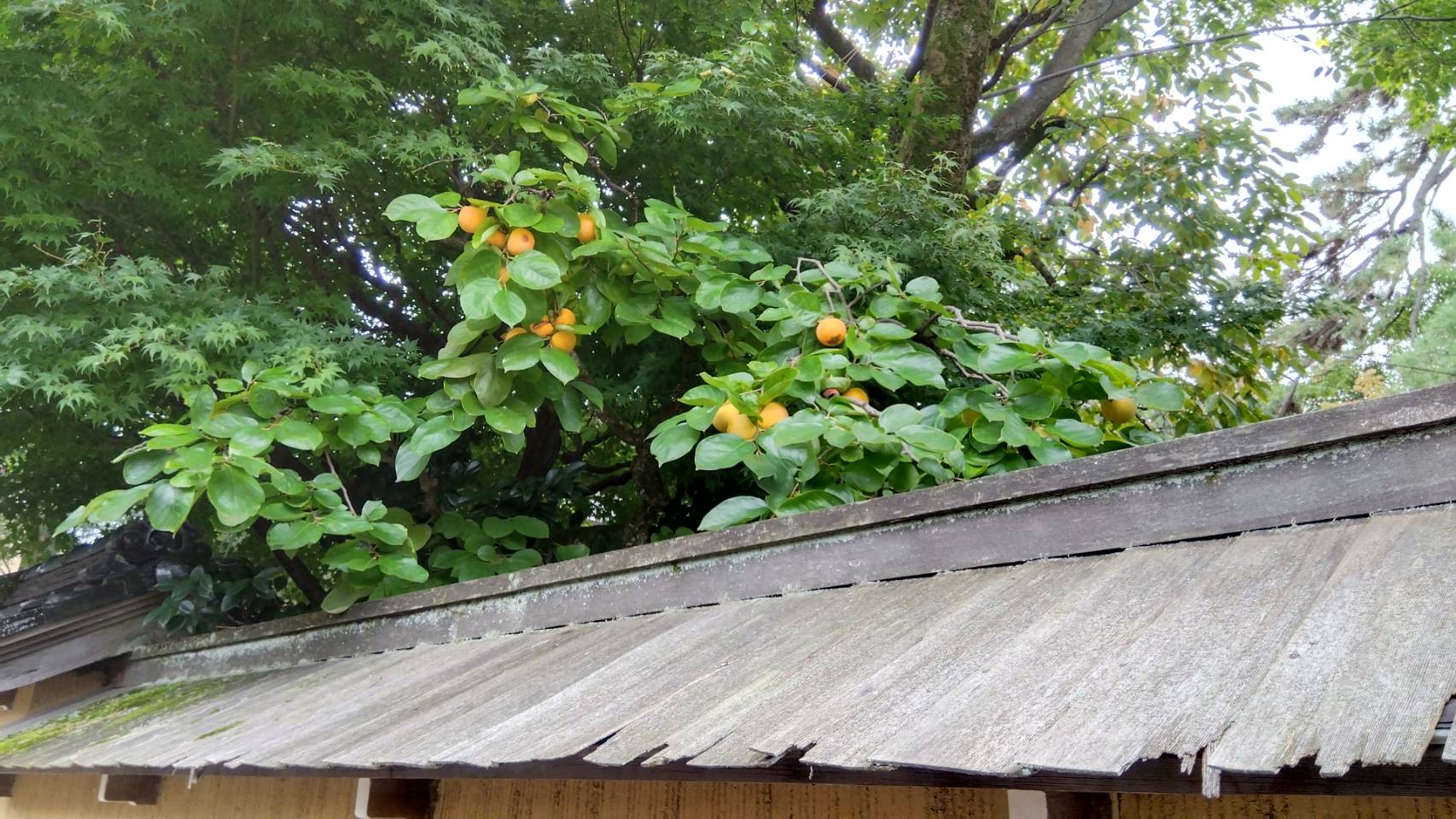 金沢のお香とアロマの香り専門店(石川県金沢市)・金沢観光地・金沢の観光スポット武家屋敷跡近く・人気でおすすめのお土産処-お香専門店のアロマ香房焚屋
