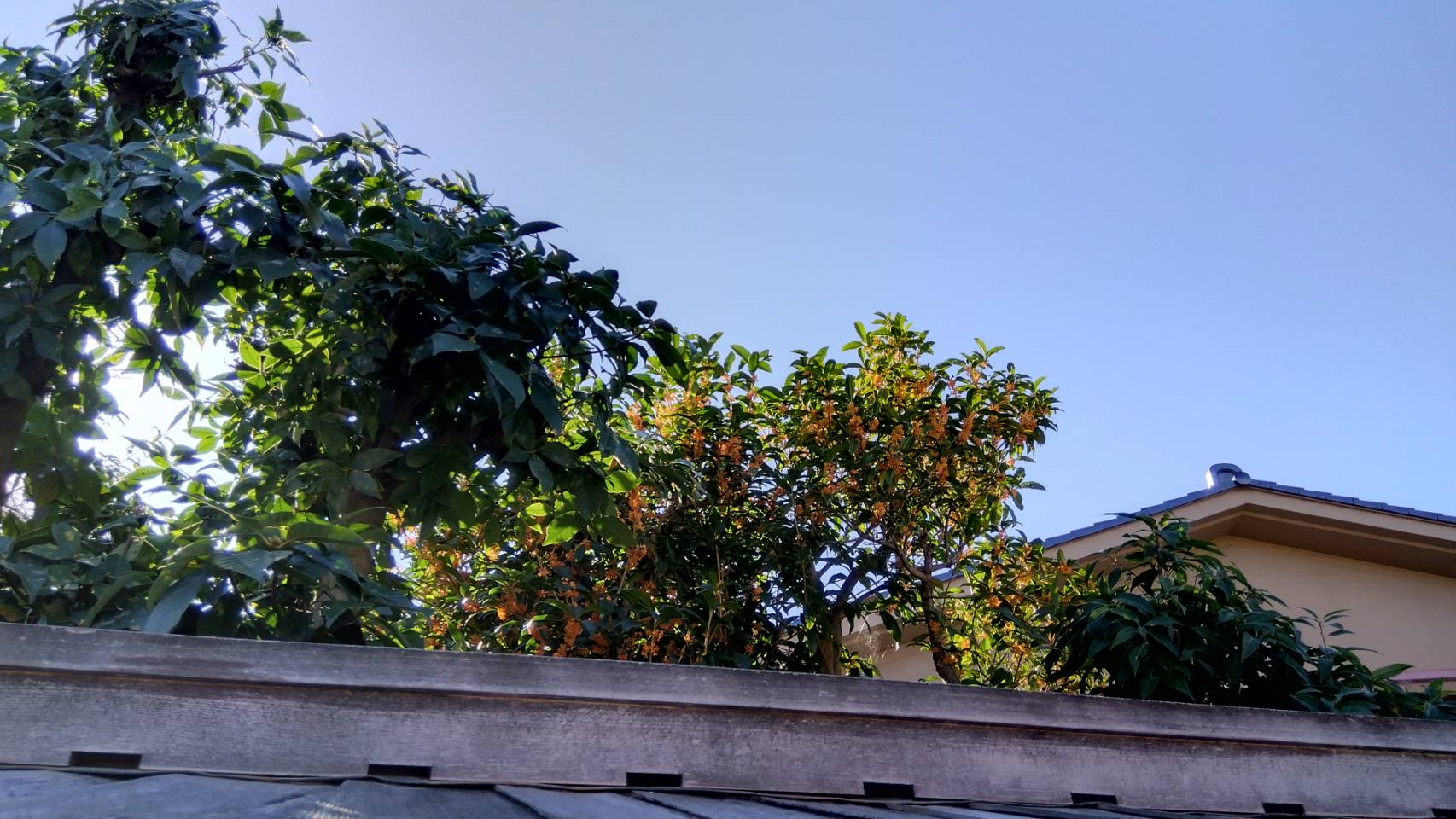 金沢のお香とアロマの香り専門店(石川県金沢市)・金沢観光地・金沢の観光スポット武家屋敷跡近く・人気でおすすめのお土産処-お香専門店のアロマ香房焚屋