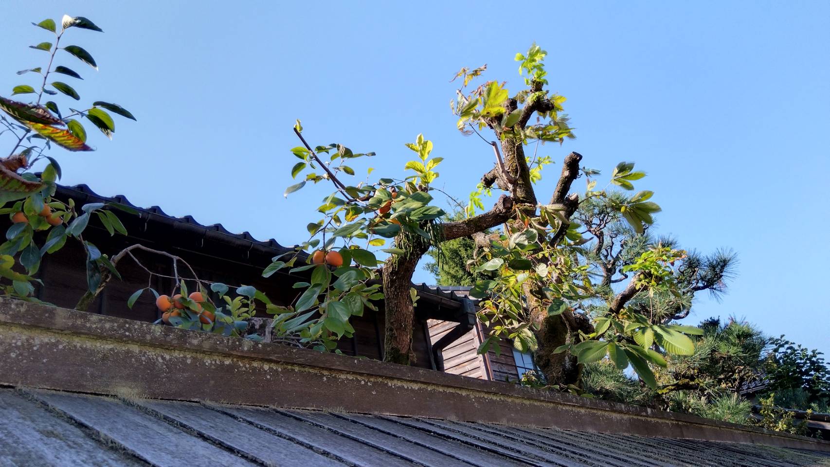 金沢のお香とアロマの香り専門店(石川県金沢市)・金沢観光地・金沢の観光スポット武家屋敷跡近く・人気でおすすめのお土産処-お香専門店のアロマ香房焚屋