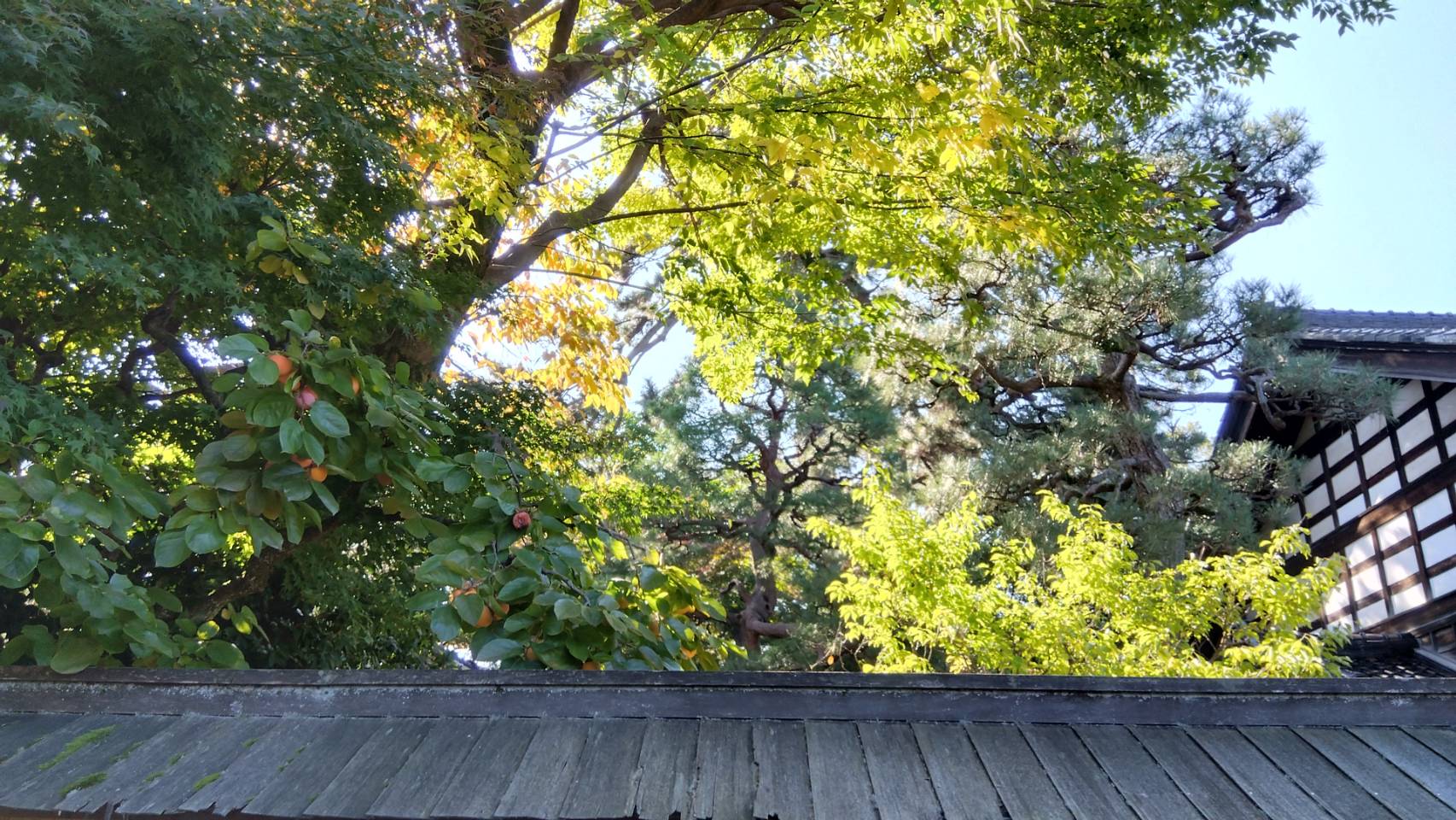 金沢のお香とアロマの香り専門店(石川県金沢市)・金沢観光地・金沢の観光スポット武家屋敷跡近く・人気でおすすめのお土産処-お香専門店のアロマ香房焚屋