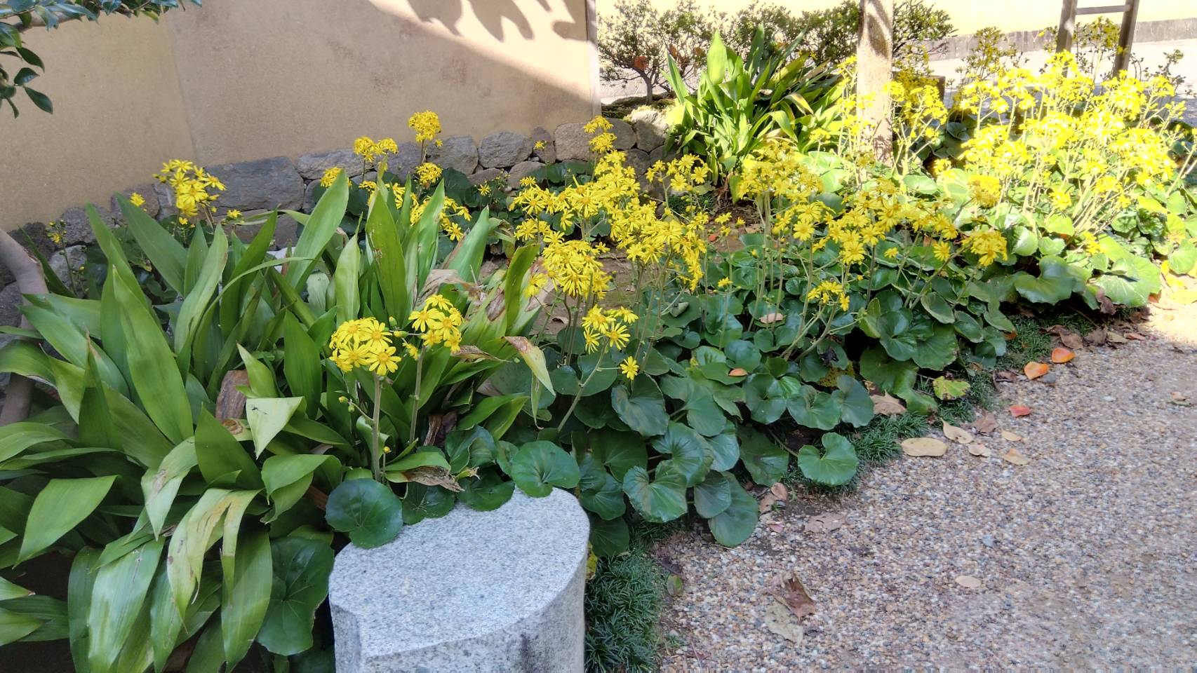 金沢のお香とアロマの香り専門店(石川県金沢市)・金沢観光地・金沢の観光スポット武家屋敷跡近く・人気でおすすめのお土産処-お香専門店のアロマ香房焚屋