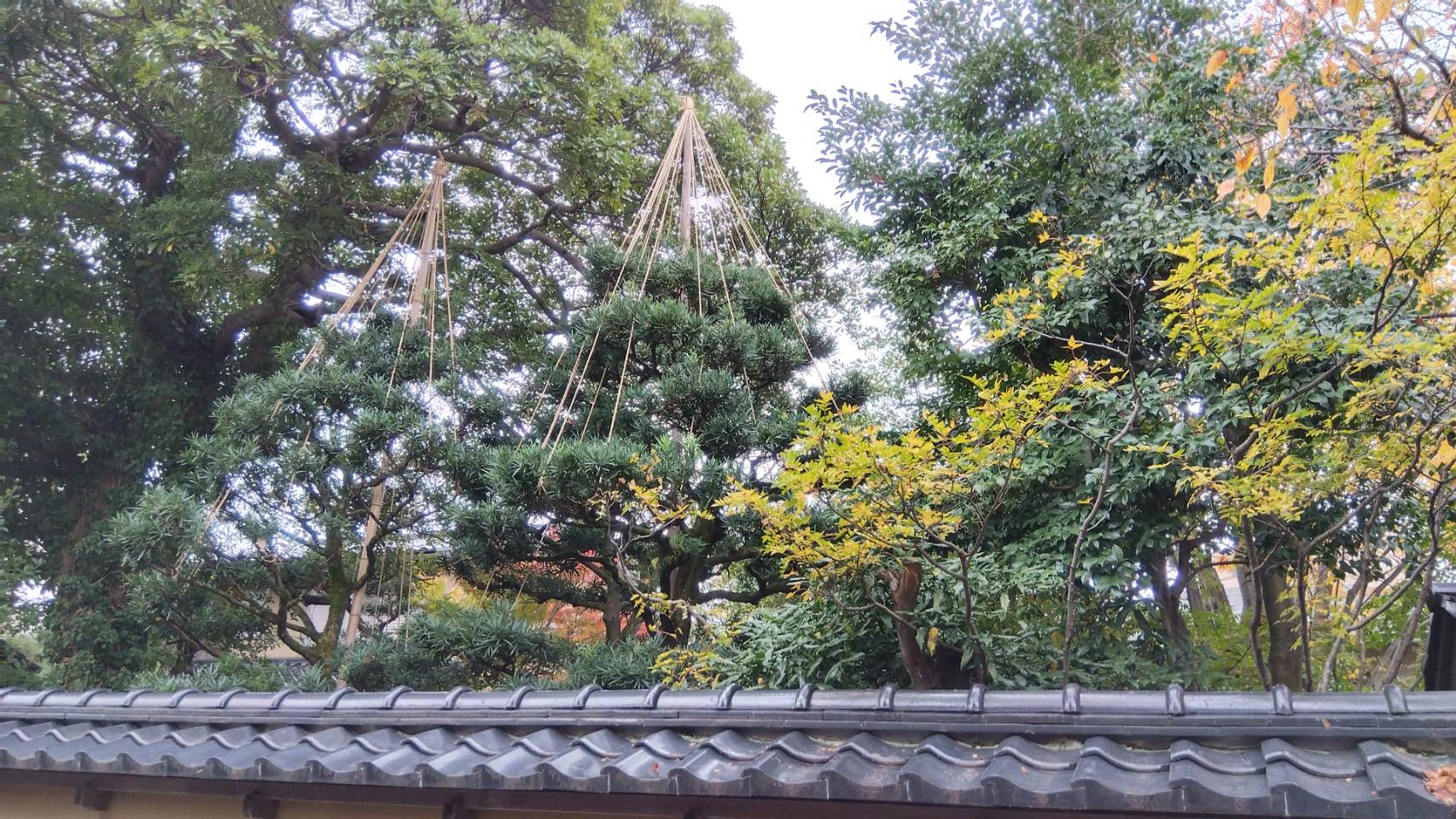 金沢のお香とアロマの香り専門店(石川県金沢市)・金沢観光地・金沢の観光スポット武家屋敷跡近く・人気でおすすめのお土産処-お香専門店のアロマ香房焚屋