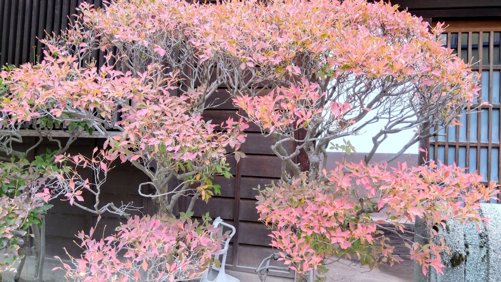 金沢のお香とアロマの香り専門店(石川県金沢市)・金沢観光地・金沢の観光スポット武家屋敷跡近く・人気でおすすめのお土産処-お香専門店のアロマ香房焚屋