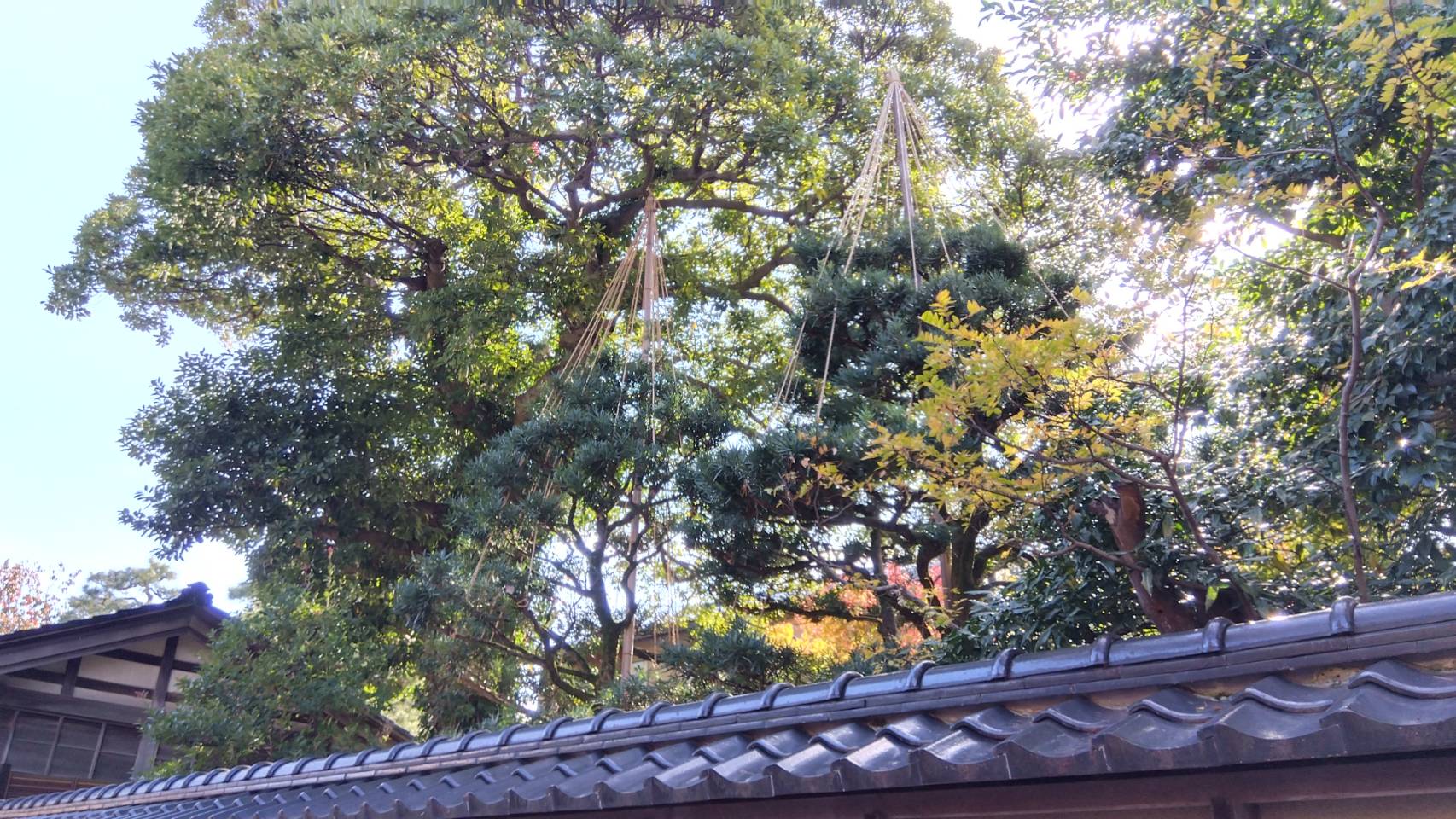 金沢のお香とアロマの香り専門店(石川県金沢市)・金沢観光地・金沢の観光スポット武家屋敷跡近く・人気でおすすめのお土産処-お香専門店のアロマ香房焚屋