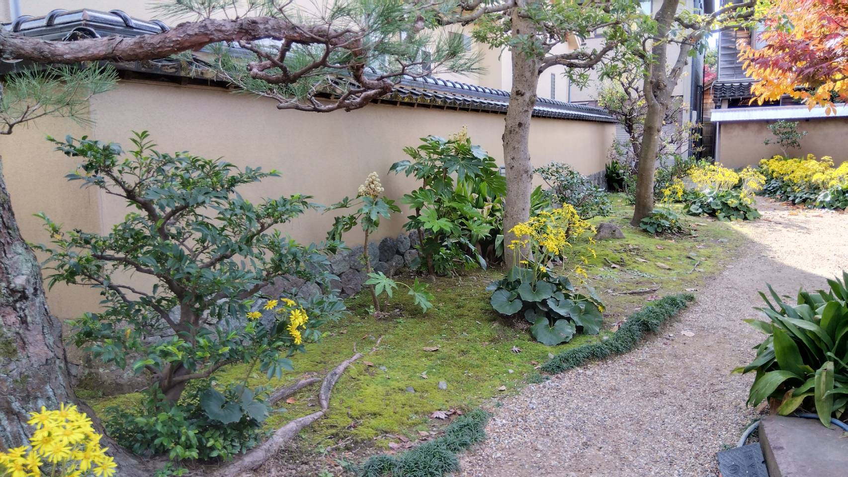 金沢のお香とアロマの香り専門店(石川県金沢市)・金沢観光地・金沢の観光スポット武家屋敷跡近く・人気でおすすめのお土産処-お香専門店のアロマ香房焚屋