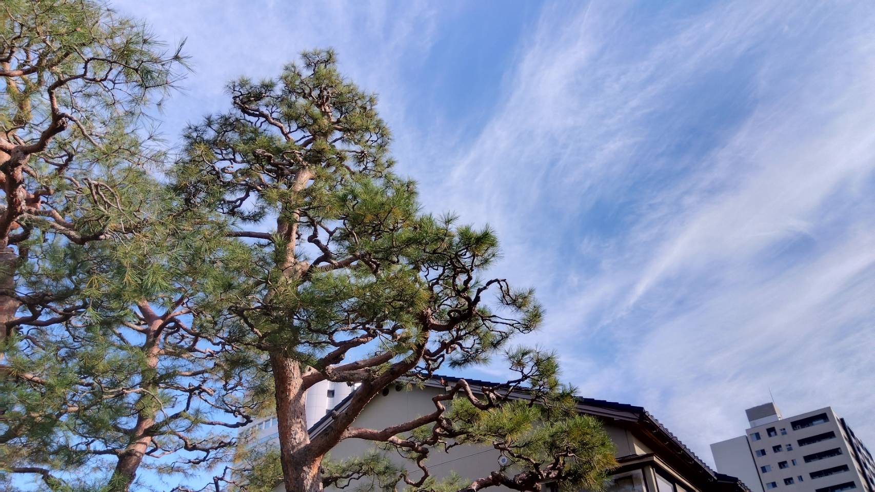 金沢のお香とアロマの香り専門店(石川県金沢市)・金沢観光地・金沢の観光スポット武家屋敷跡近く・人気でおすすめのお土産処-お香専門店のアロマ香房焚屋