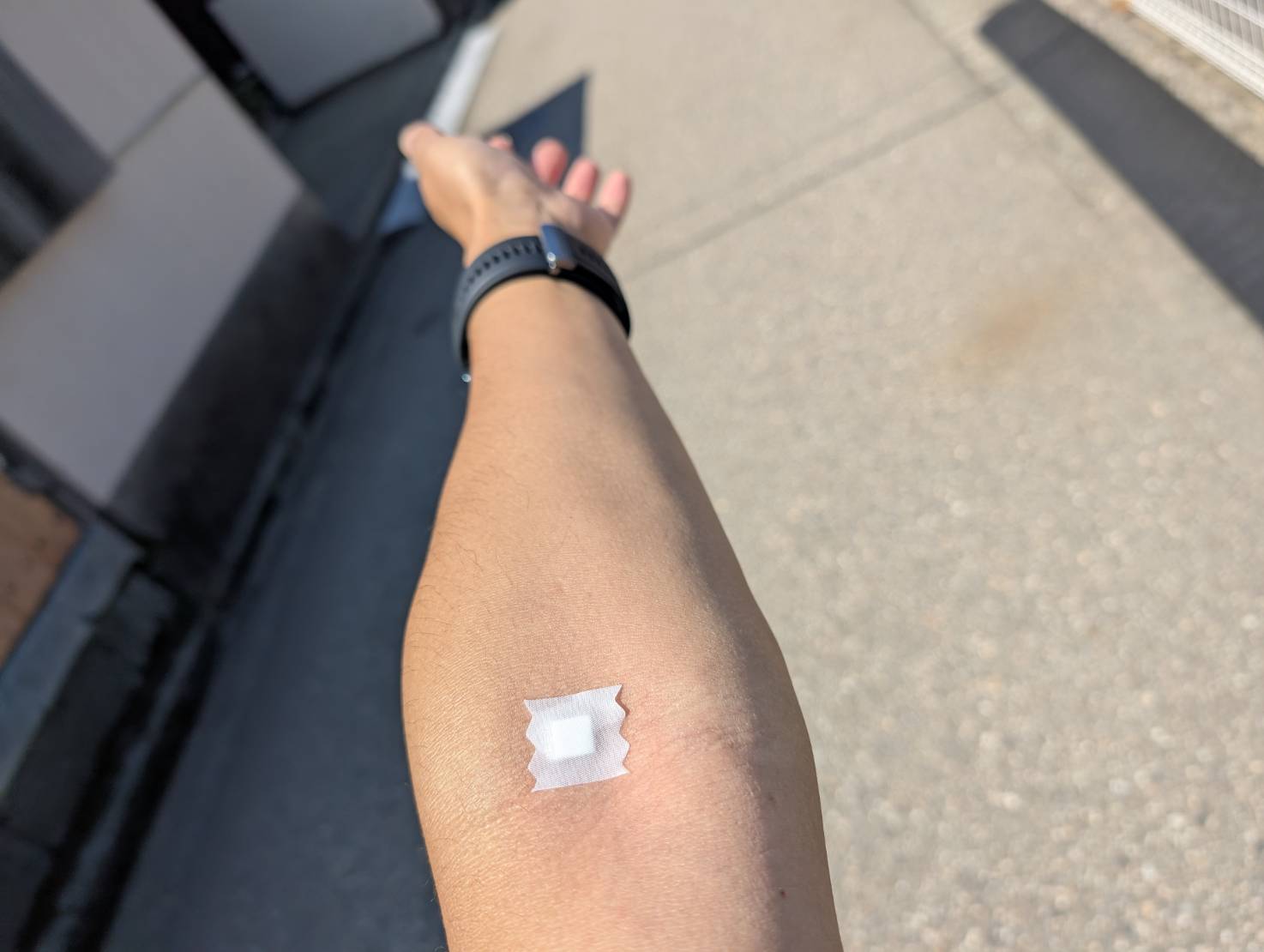 ★2025年9月1日＜本日の作業＞焚屋健康診断、動画編集、月初処理