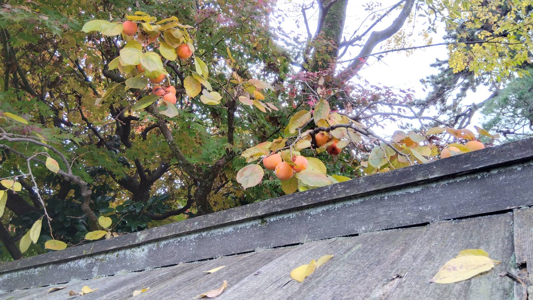 金沢のお香とアロマの香り専門店(石川県金沢市)・金沢観光地・金沢の観光スポット武家屋敷跡近く・人気でおすすめのお土産処-お香専門店のアロマ香房焚屋