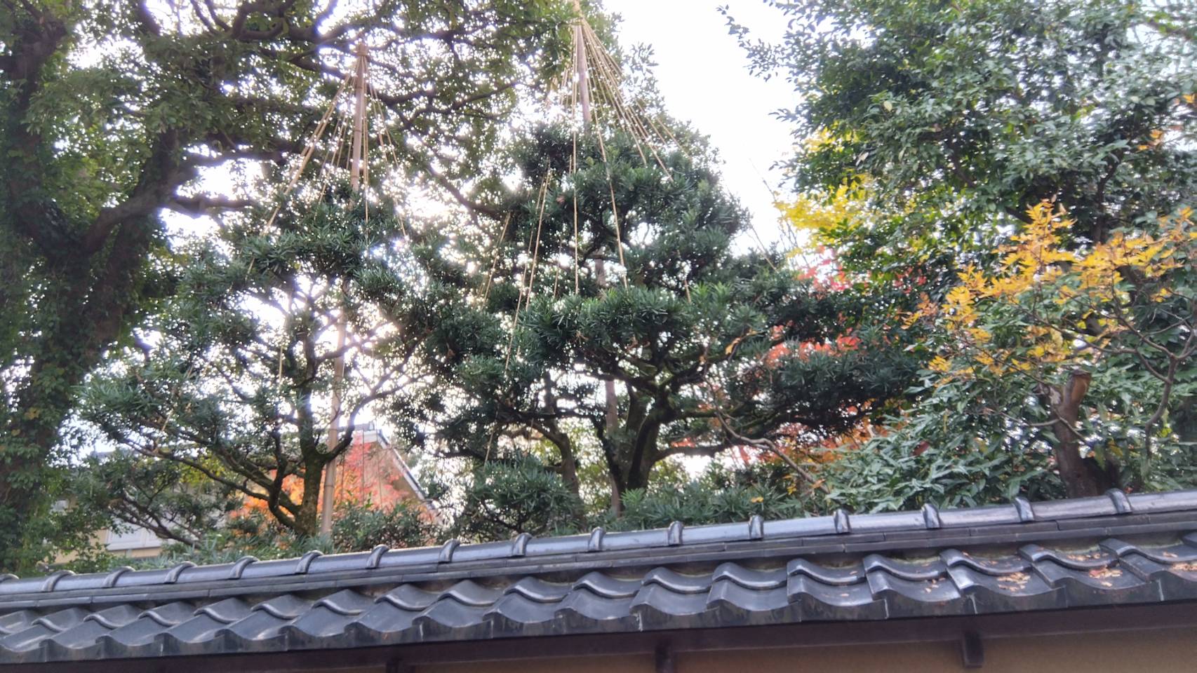 金沢のお香とアロマの香り専門店(石川県金沢市)・金沢観光地・金沢の観光スポット武家屋敷跡近く・人気でおすすめのお土産処-お香専門店のアロマ香房焚屋