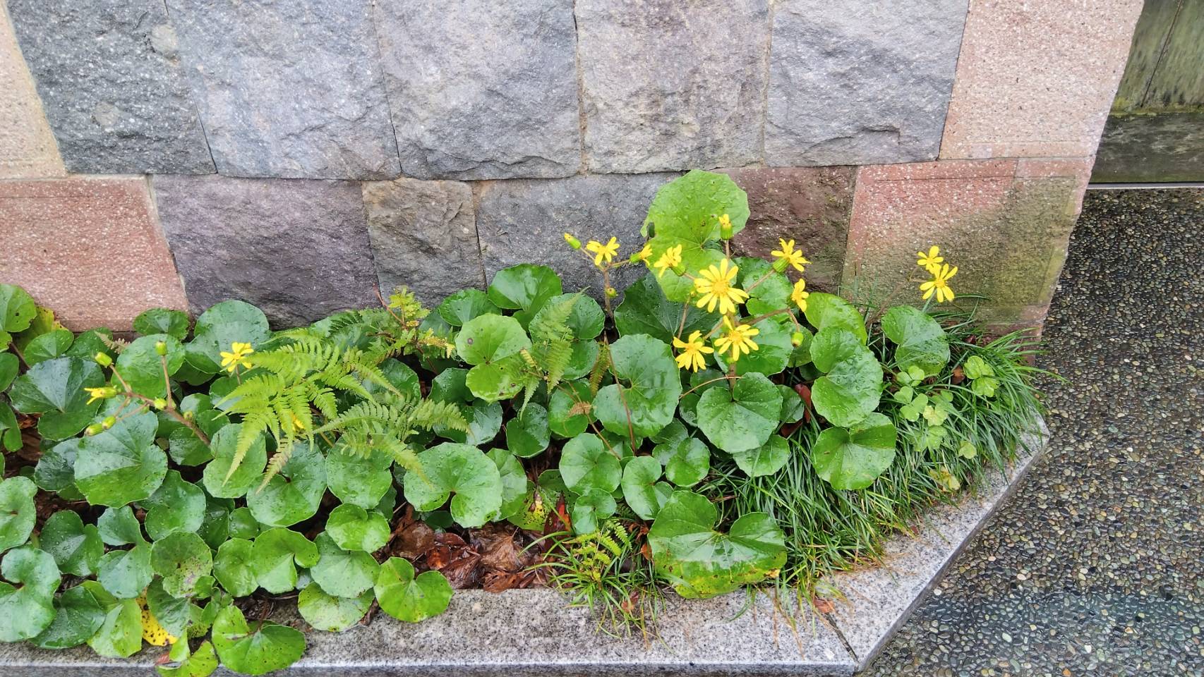 金沢のお香とアロマの香り専門店(石川県金沢市)・金沢観光地・金沢の観光スポット武家屋敷跡近く・人気でおすすめのお土産処-お香専門店のアロマ香房焚屋